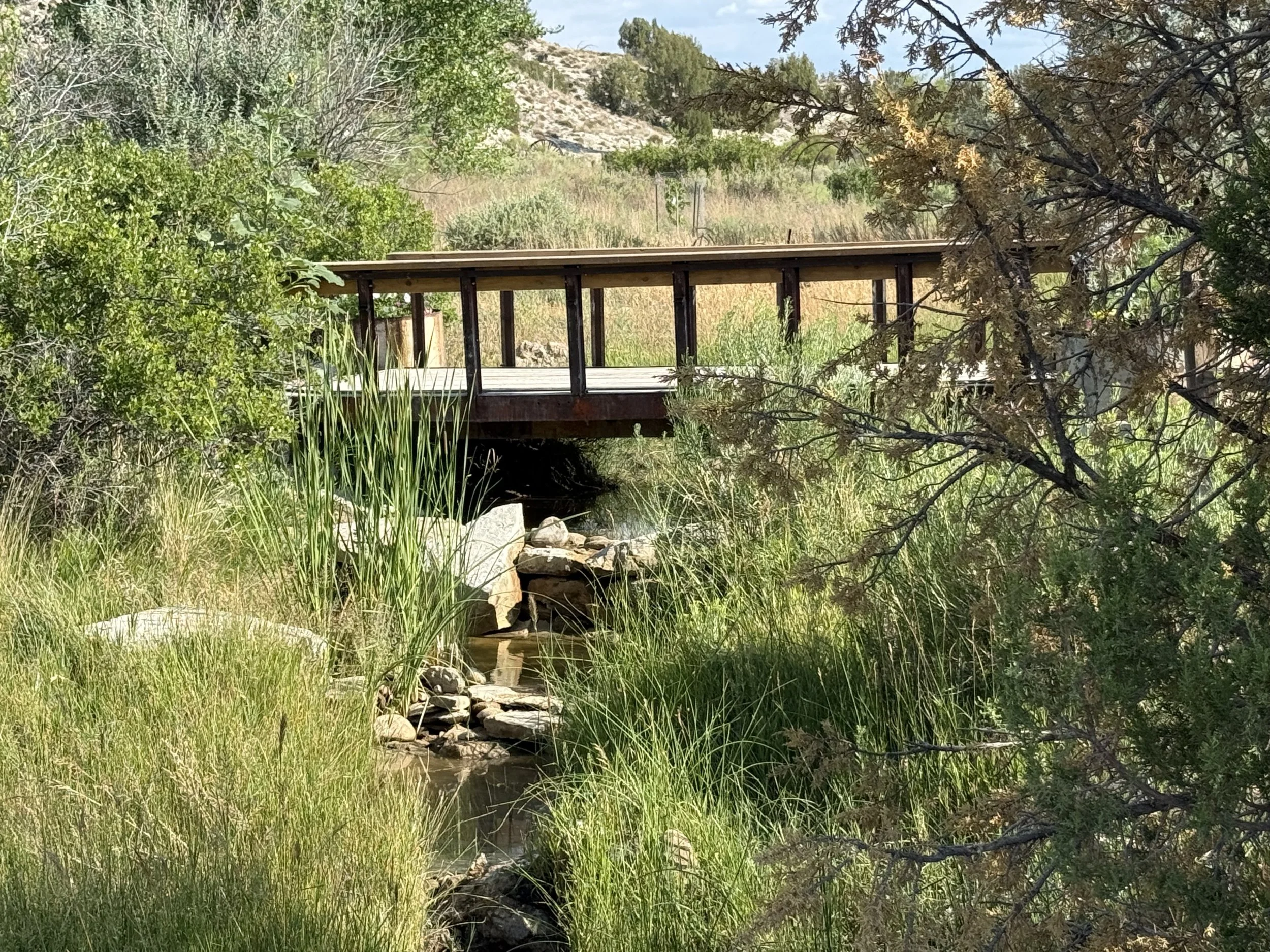 Rustic bridge over the stream at Lost Pond wedding venue an outdoor wedding venue near Colorado Springs, Colorado. The cattails and wildflowers are blooming.