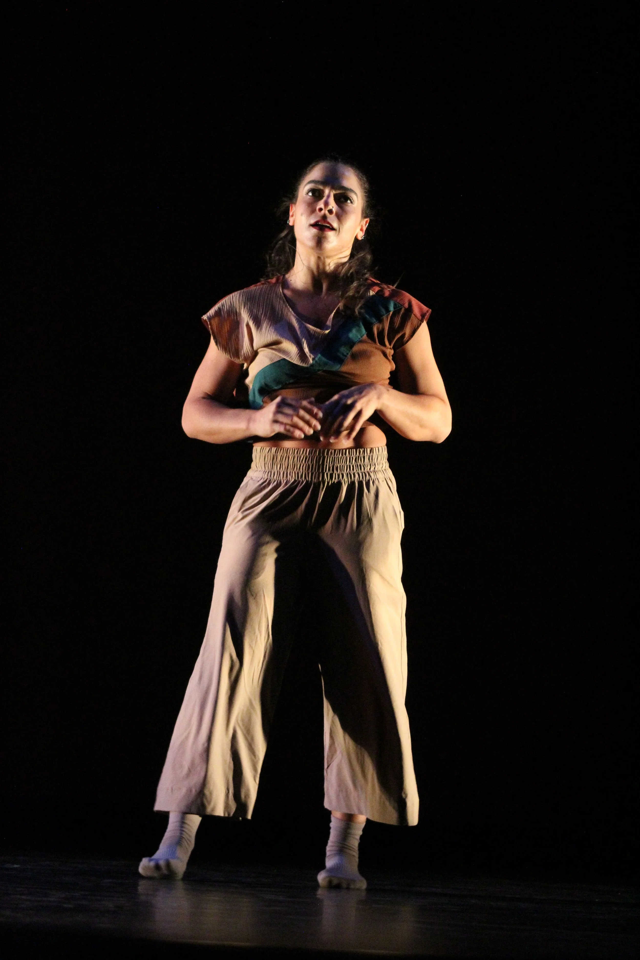 Born and raised in Miami, FL, Ana Brotons (she/her) found her love for the movement arts at a young age. From studio to magnet middle and high schools, she trained extensively in ballet, modern, jazz, tap, hiphop, salsa, and acrobatics. During her ti