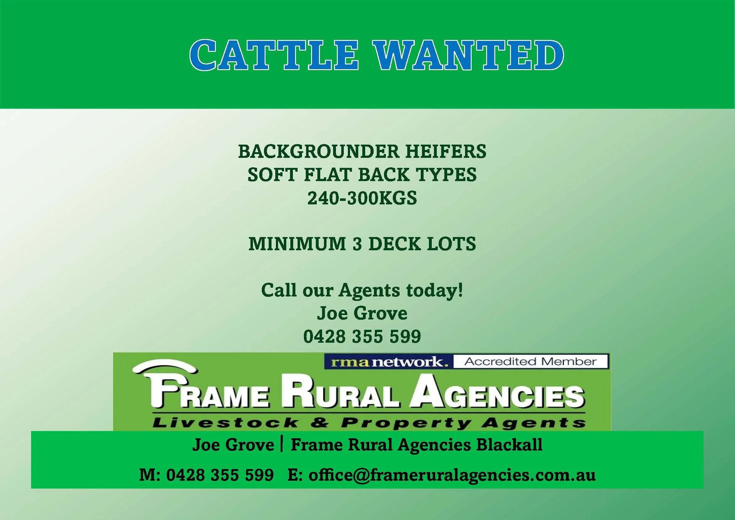 CATTLE WANTED