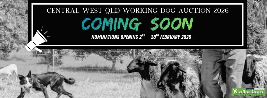 Central West Queensland Working Dog Auction 2026
