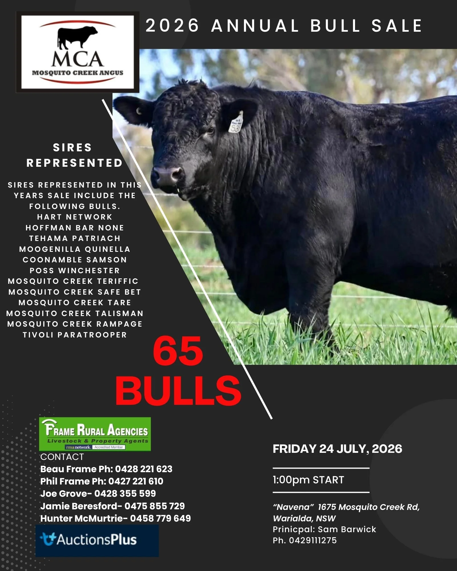 MOSQUITO CREEK ANGUS BULL SALE 