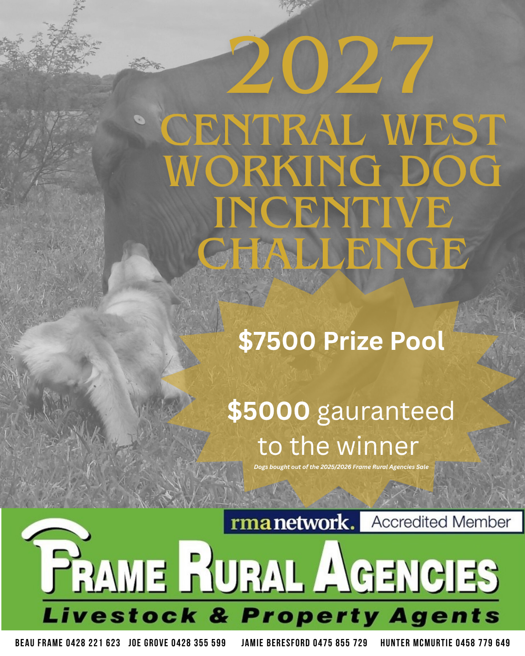 Central West Queensland Working Dog Auction 2027
