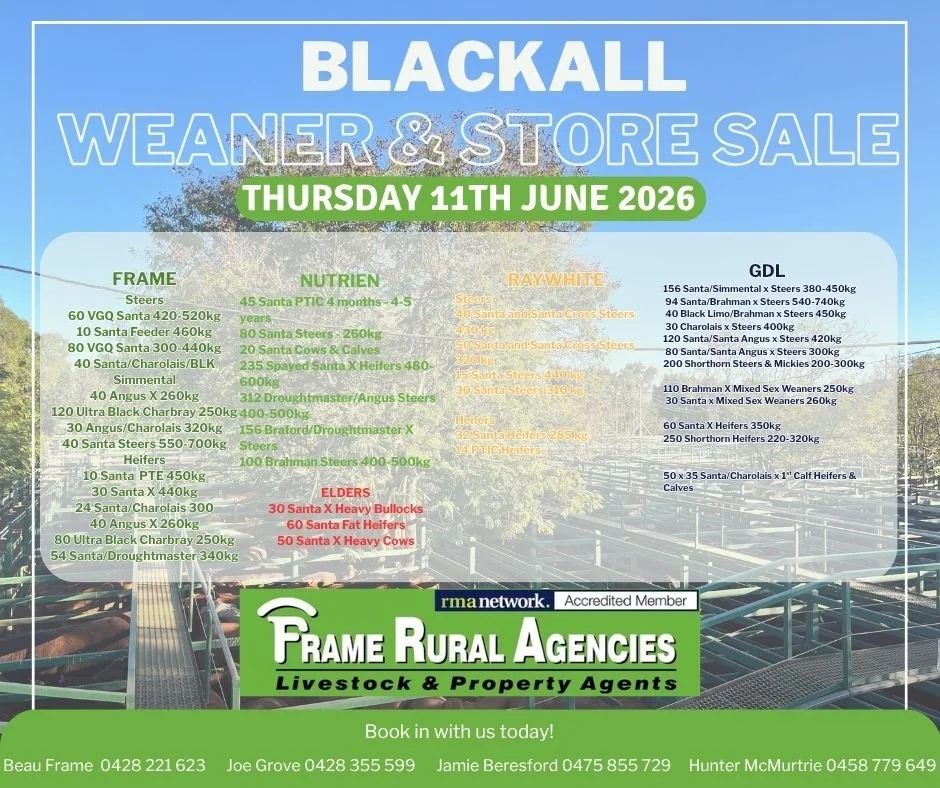 Blackall Santa & Santa Infused Sale - In conjunction to The Prime ...