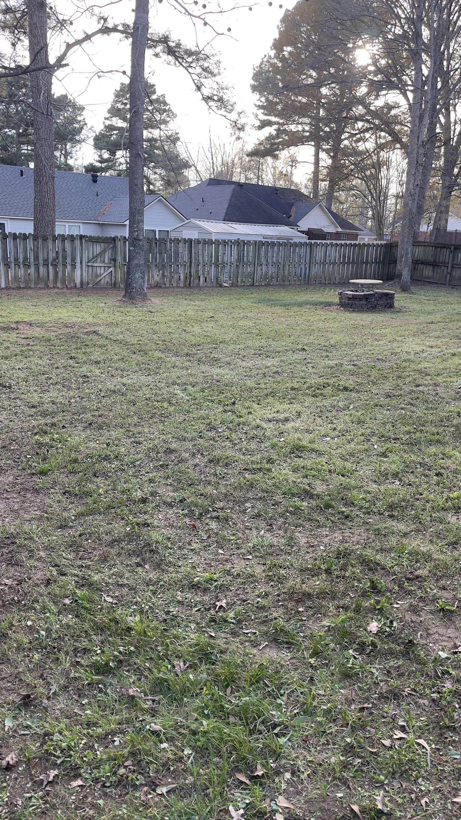 The same Cabot, Arkansas backyard with leaves cleared and grass visible after a December fall cleanup by White River Lawn Co.