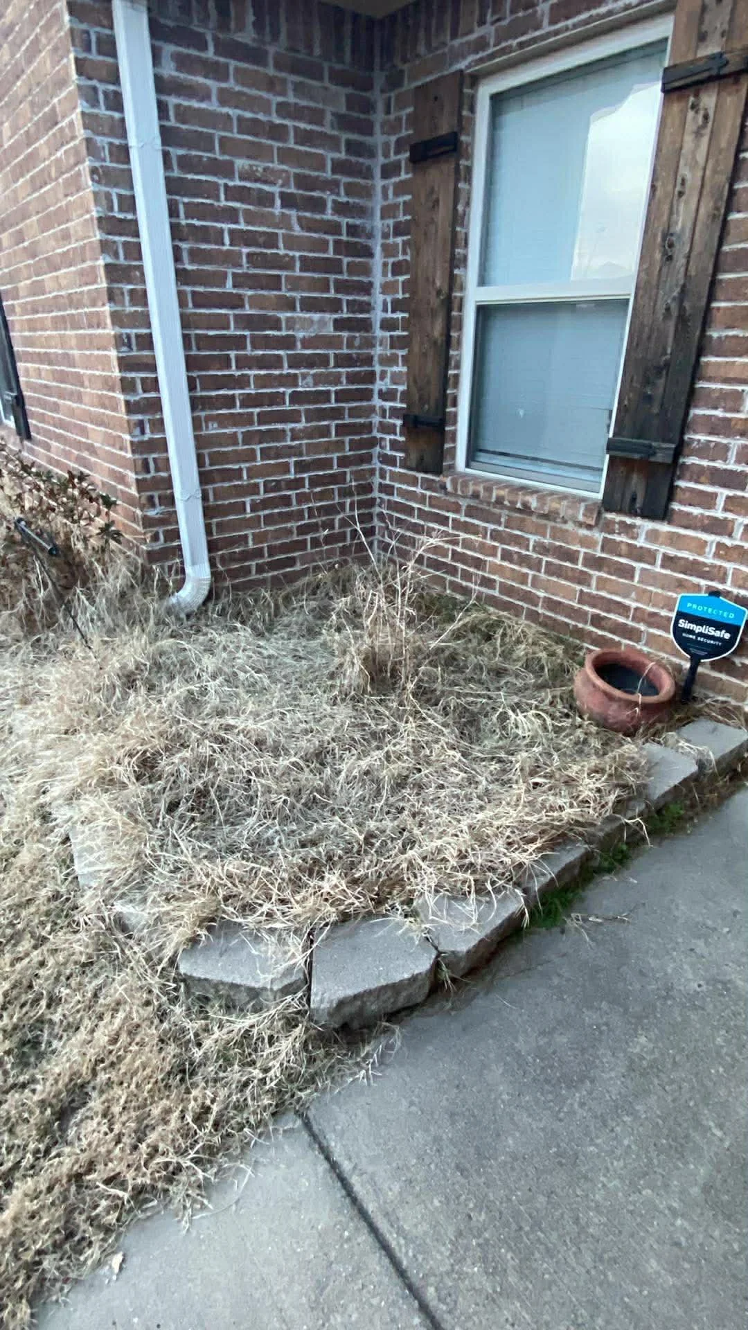 A small brick house corner with a window and wooden shutters, a white drainpipe, a patch of dried grass with some weeds, and a security sign near a plant pot.