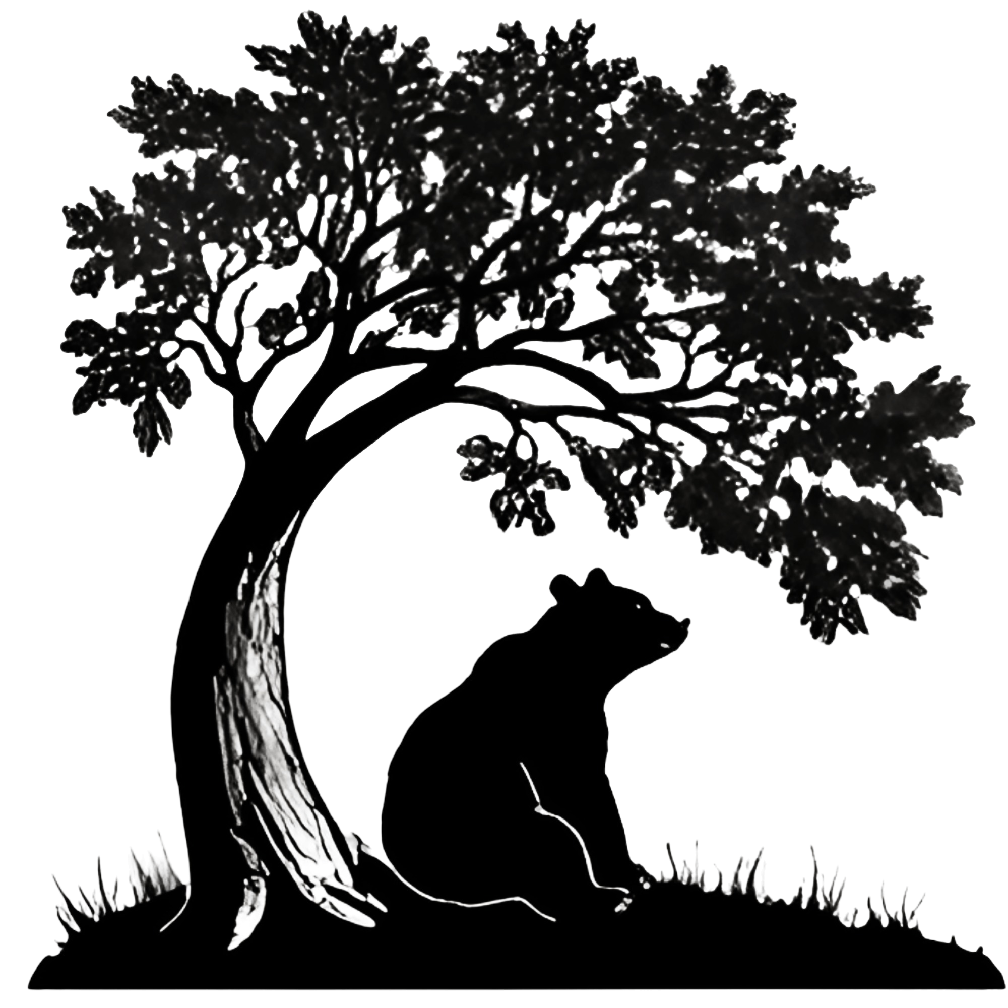Silhouette of a bear sitting under a tree with dense foliage, surrounded by grass.
