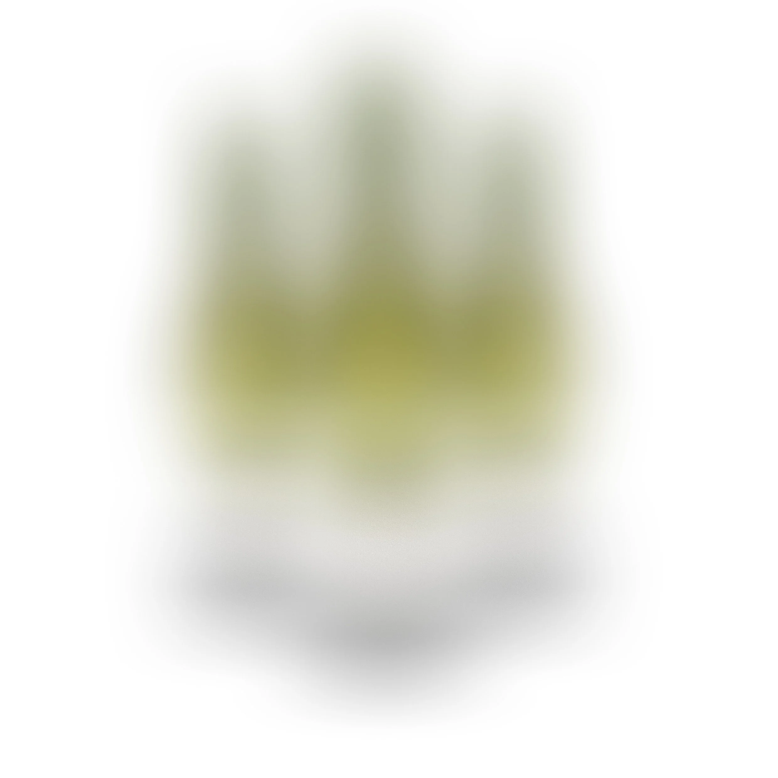 Blurred green tītoki wine bottles on a white background.