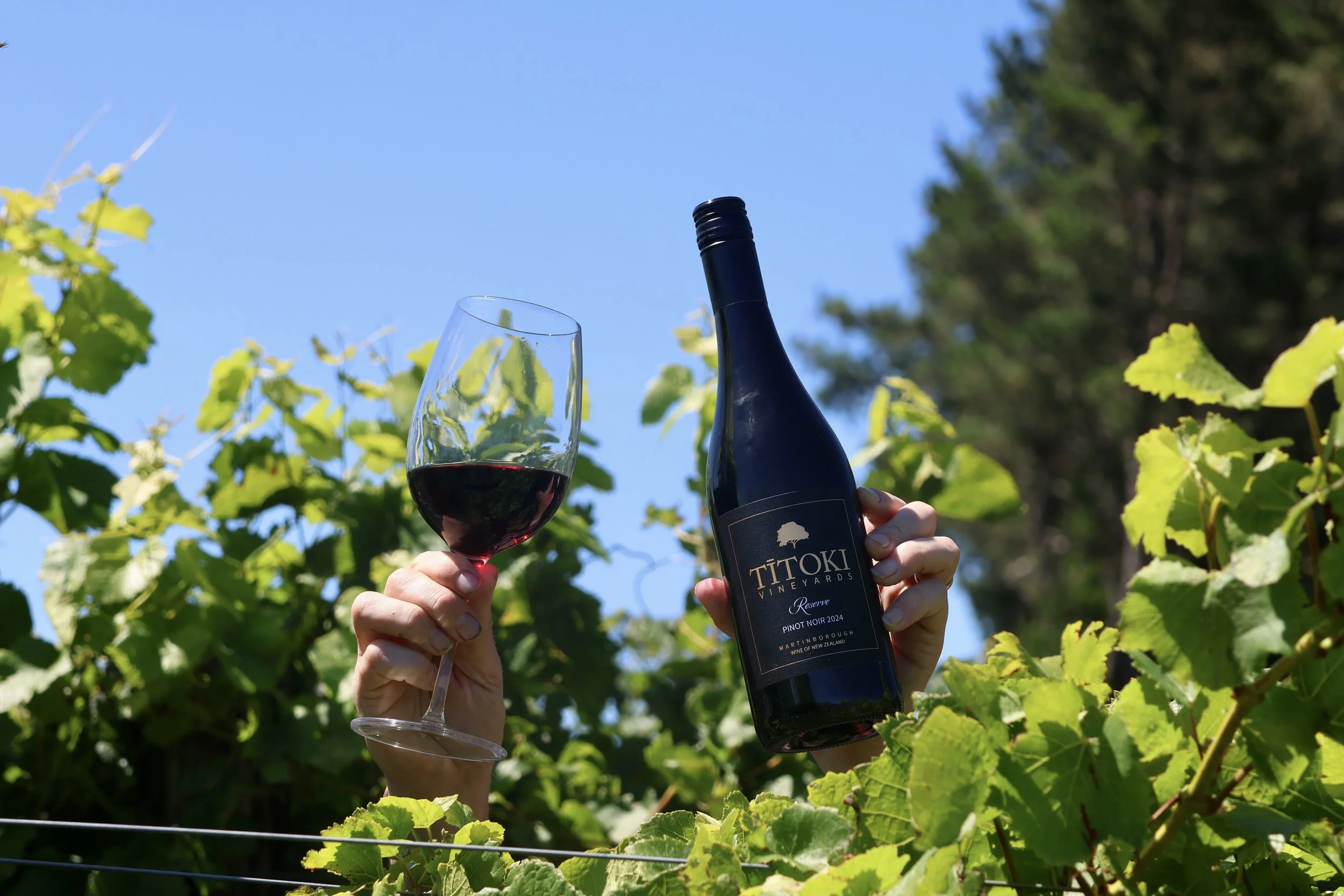 Reserve Pinot Noir 2024
