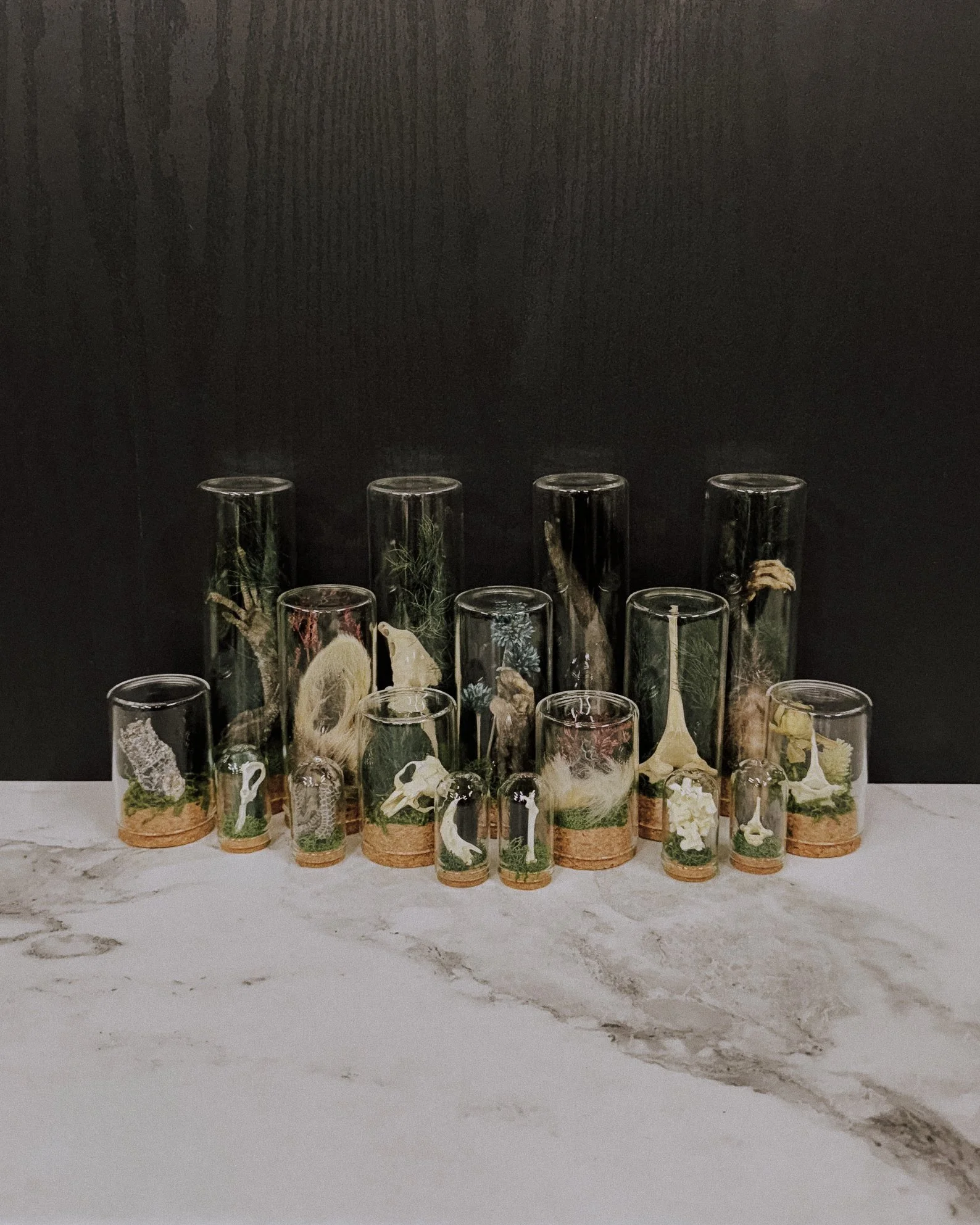 Assorted oddity vials filled with mysterious contents and spooky curiosities.