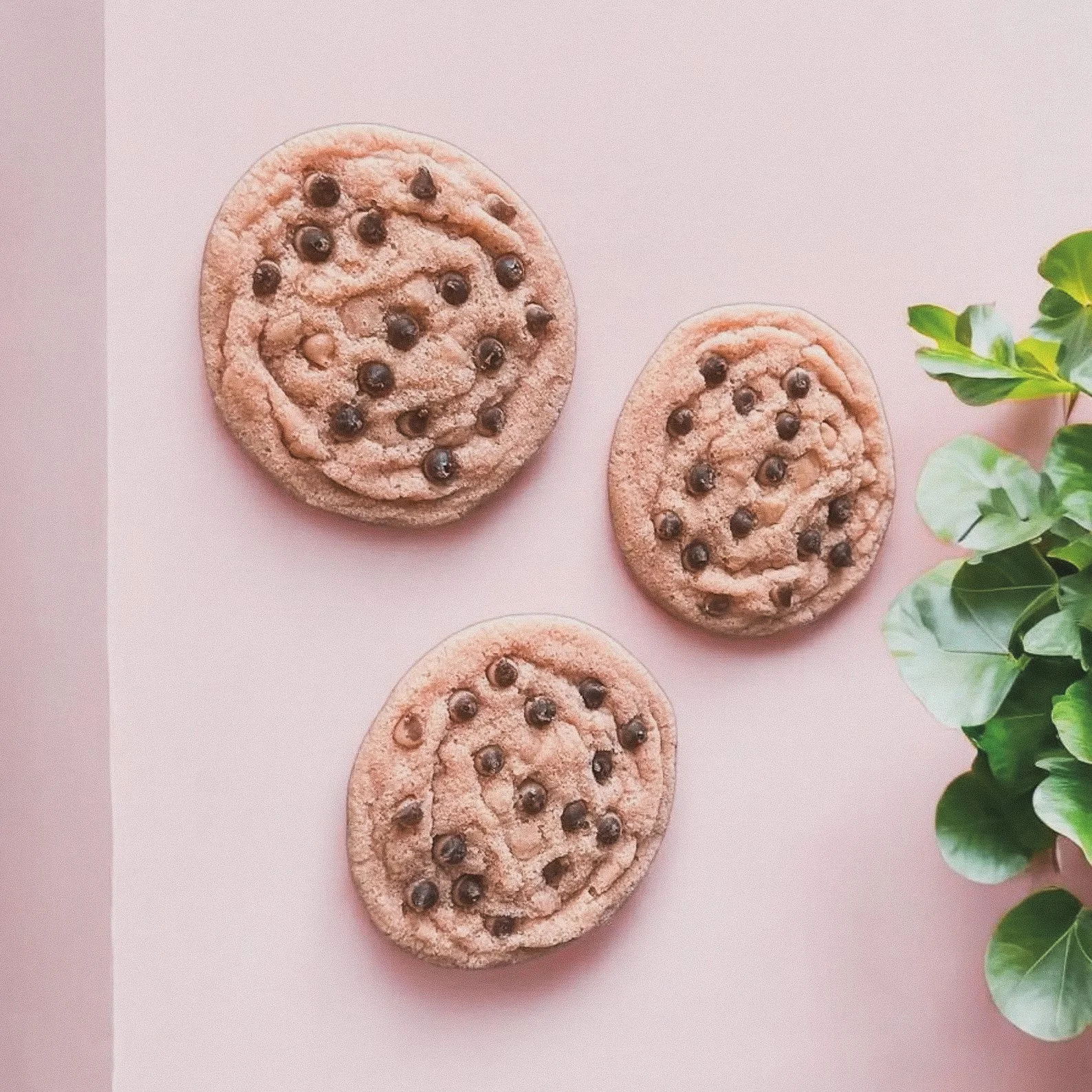 Trio of jumbo fake chocolate chip cookies with realistic texture, ideal for food photography props or playful kitchen decor.