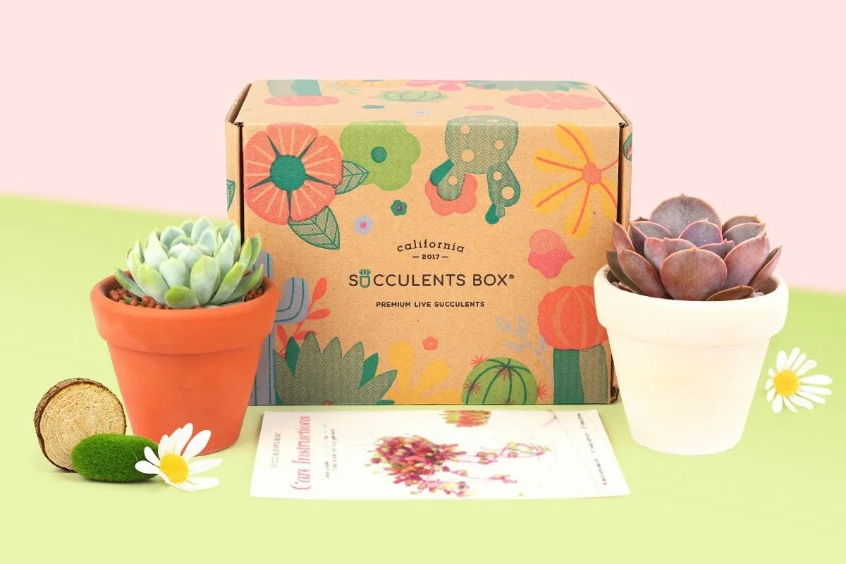 Succulent Subscription Box
