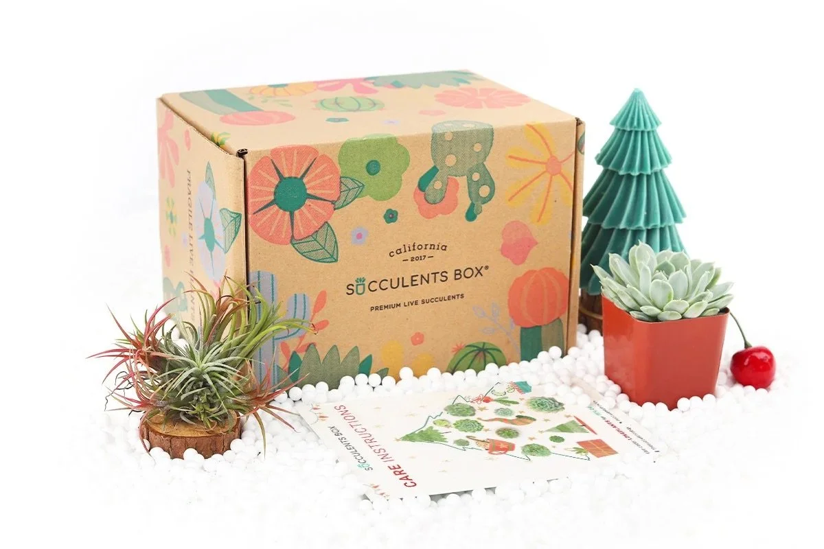 California Succulents Subscription Box