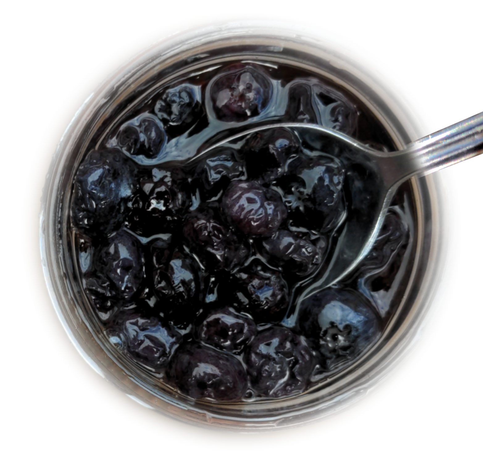Fermented Blueberry Honey