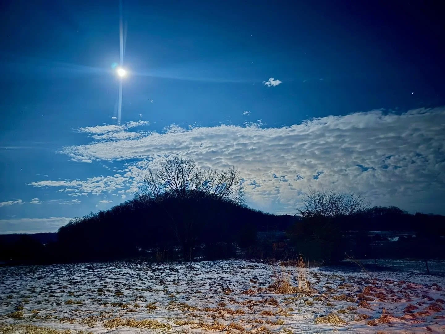 Dear Moon, your monthly dose of awe helps me find solace in my own human suffering- the suffering of cognition, the suffering of the world, the suffering of impulsive politicians with too much power making world-changing decisions, the sorrow of all 