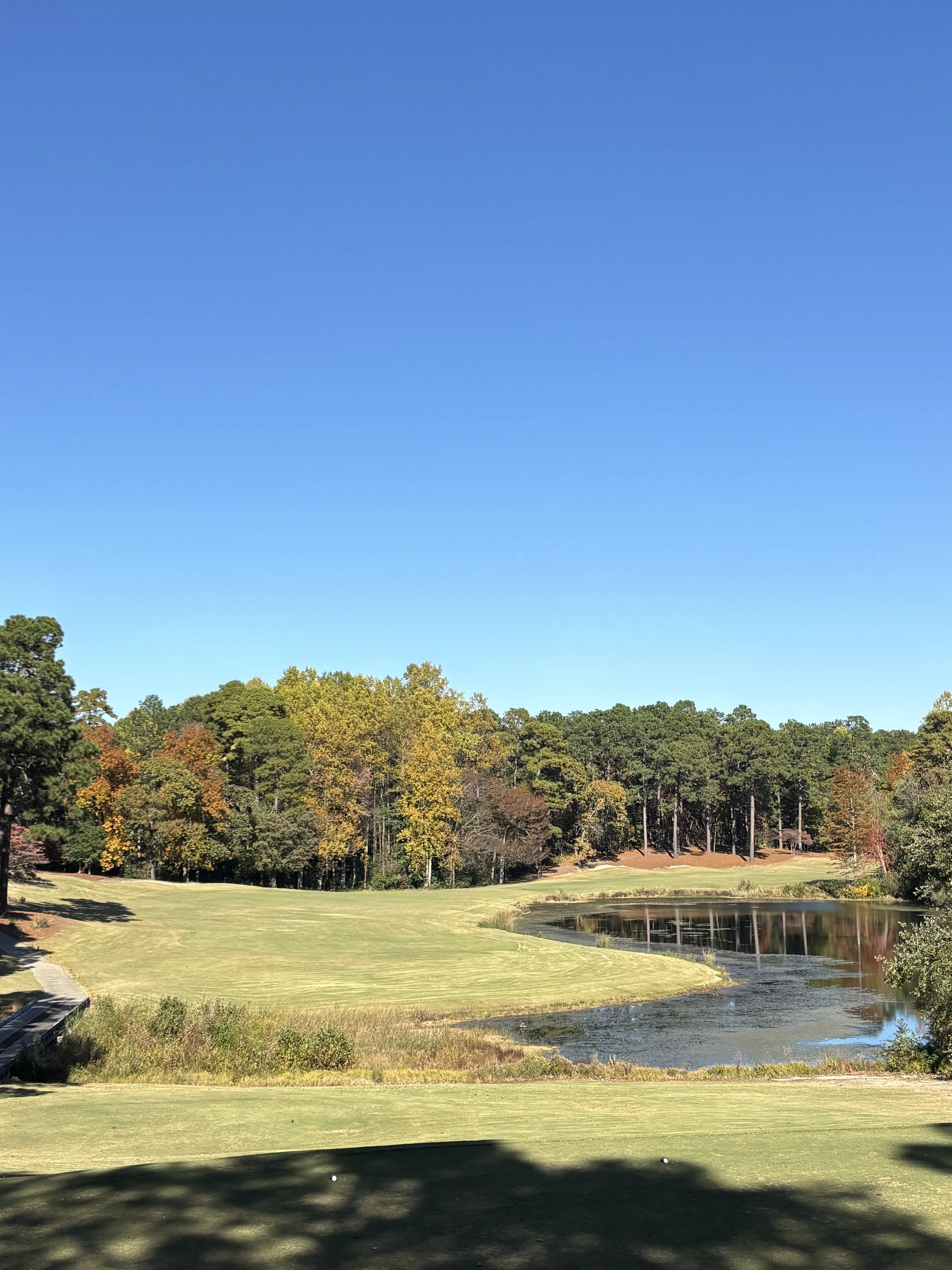 A golf course with green grass, trees in fall colors, a small pond, and a clear blue sky.