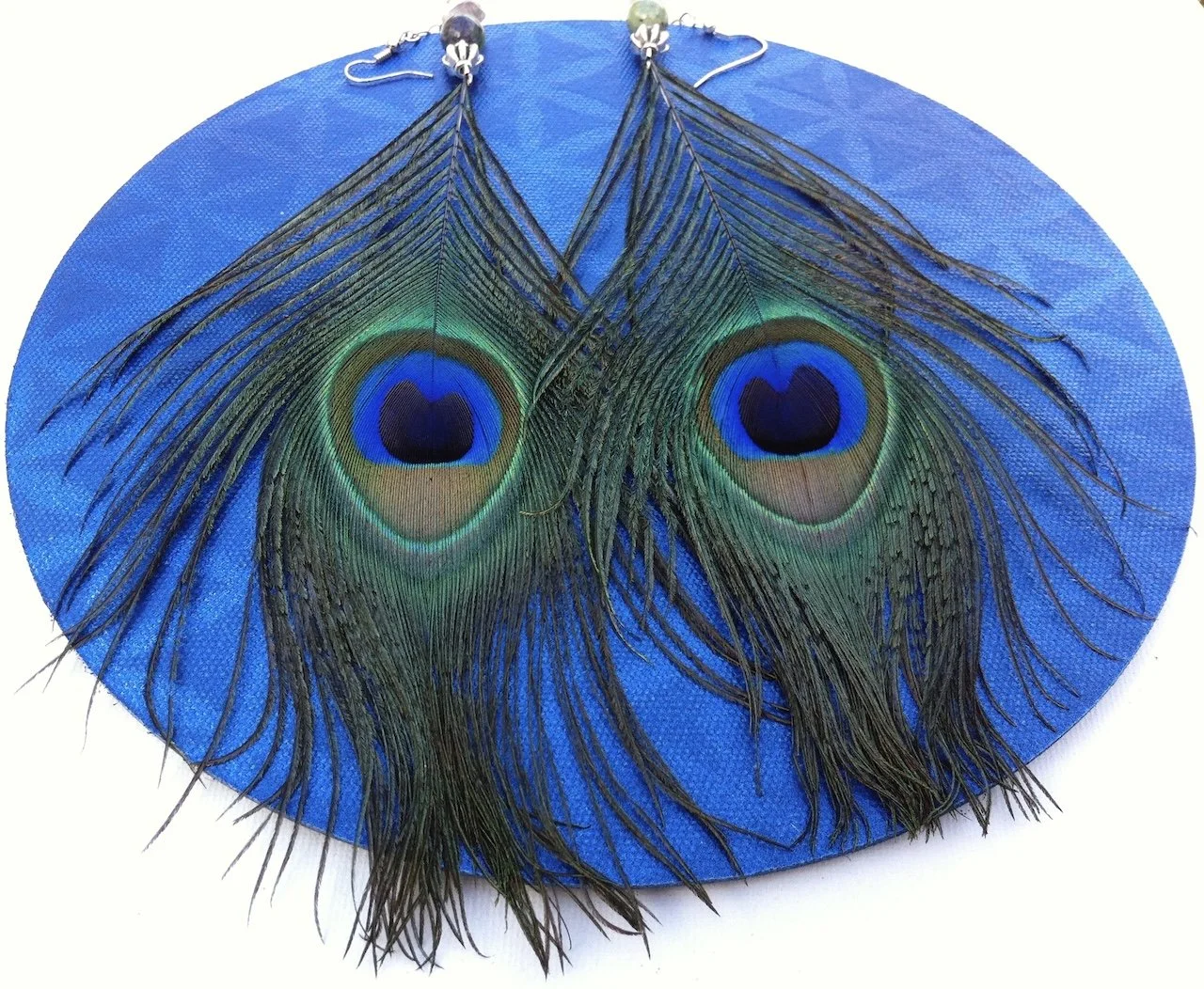 peacock.jpg