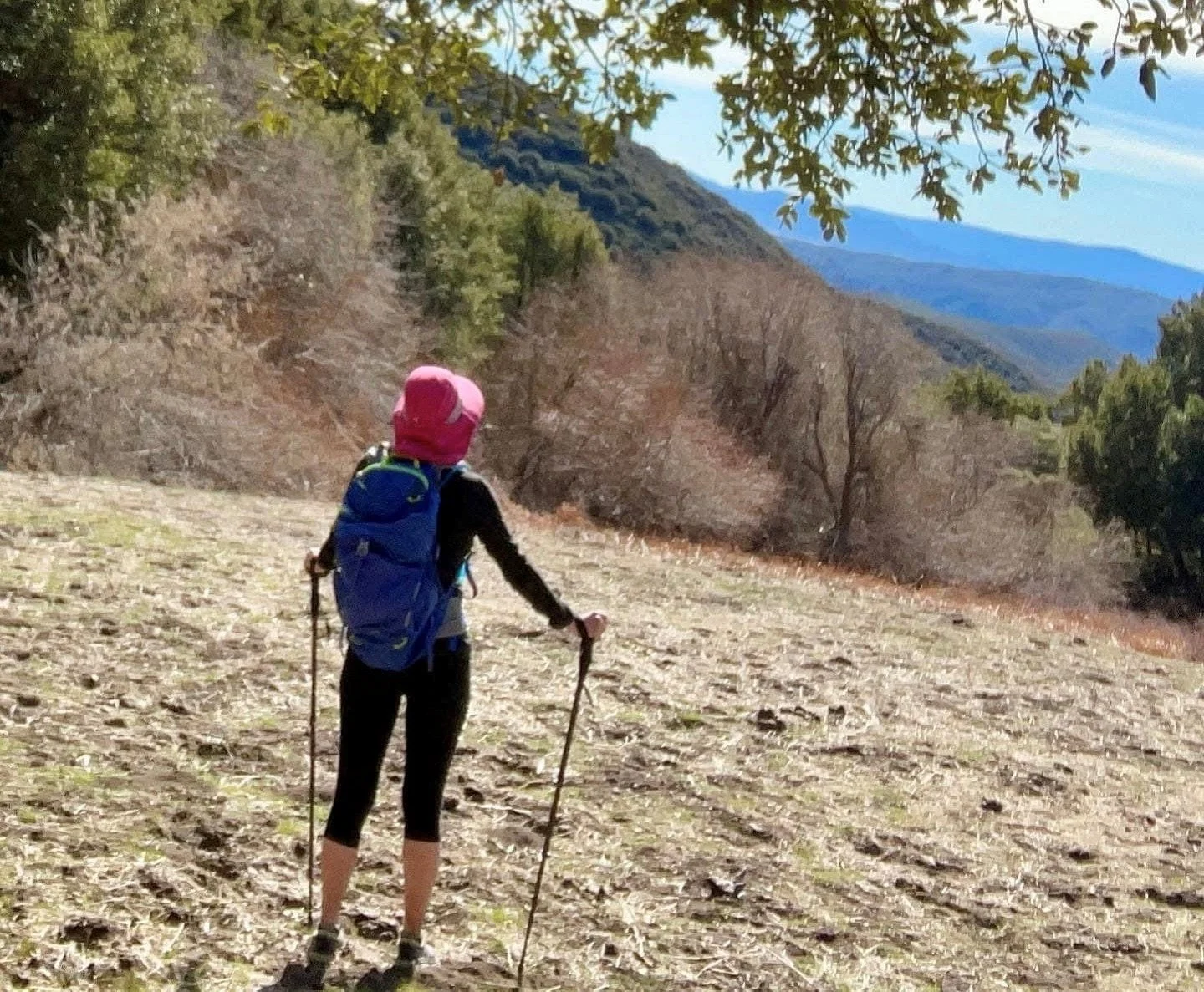 A person with a pink helmet, black clothing, and a blue backpack holding hiking poles, walking in a mountainous and wooded landscape with mountains in the distance.