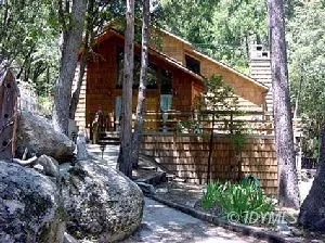 Wooden cabin surrounded by trees with a deck and railing, in a forested area.