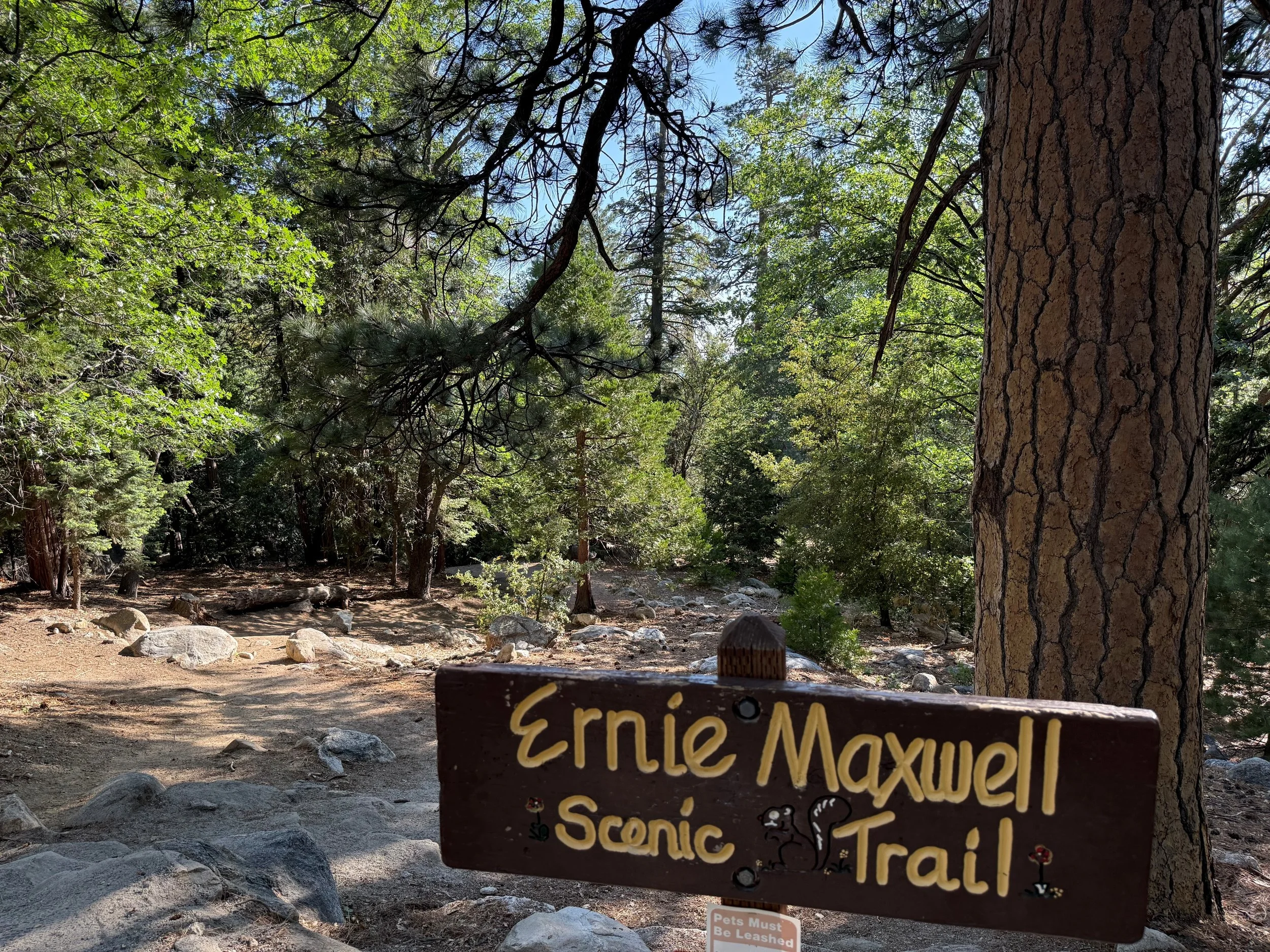 A wooden sign for Erin Maxwell Scenic Trail with a background of tall trees, a blue sky, and rocks on the ground in a forested area.
