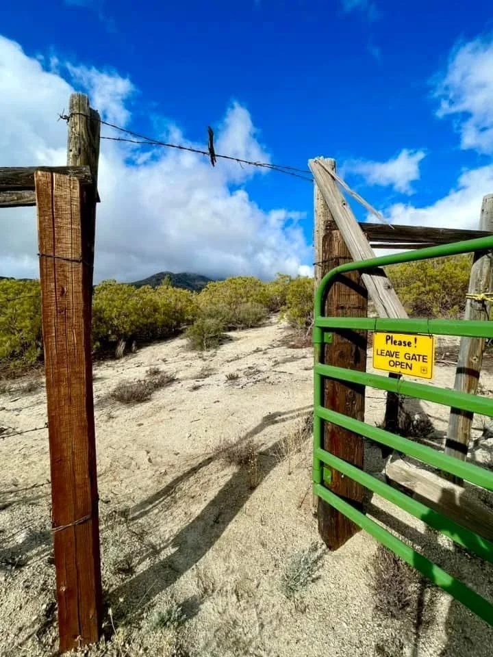 A green metal gate with a yellow sign that says "Please! Leave Gate Open" is attached to a wooden fence in a sandy area with sparse bushes, under a partly cloudy blue sky.