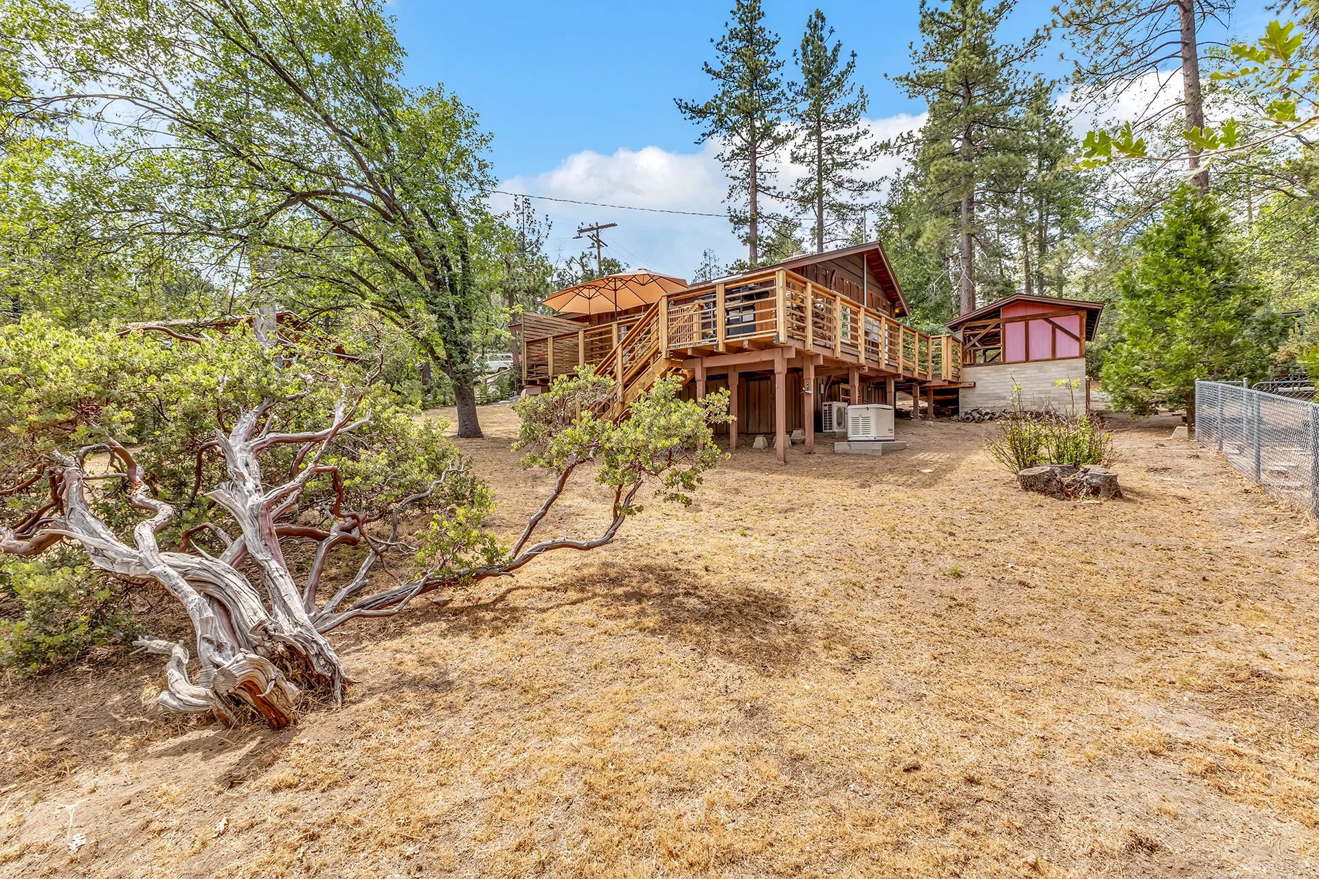 View of a backyard with dry grass, a twisted gnarly tree in the foreground, and a wooden house with a deck and stairs, surrounded by tall pine trees under a partly cloudy sky.