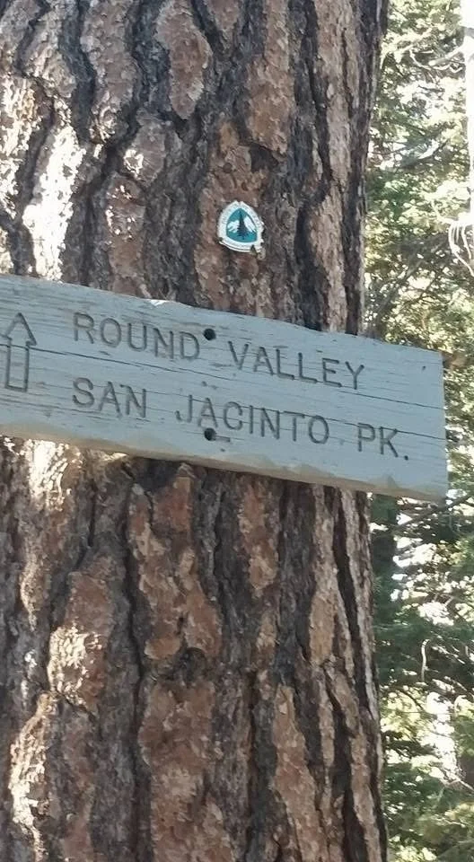 A wooden trail sign attached to a tree with a small blue and white trail marker above it, indicating the trail to Round Valley and San Jacinto Peak in a wooded area.