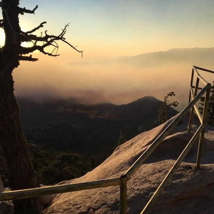 A scenic view from a mountain with a metal railing in the foreground, a gnarled tree on the left, and fog rolling over distant hills during sunrise or sunset.