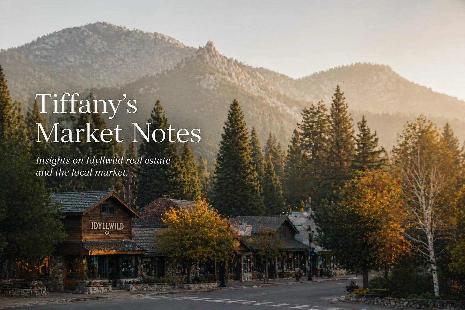 Street view of idyllwild with sunset colors on trees and mountains in the background