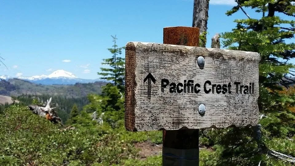 Weathered wooden trail sign pointing upward with the text 'Pacific Crest Trail' in mountain forest scenery.