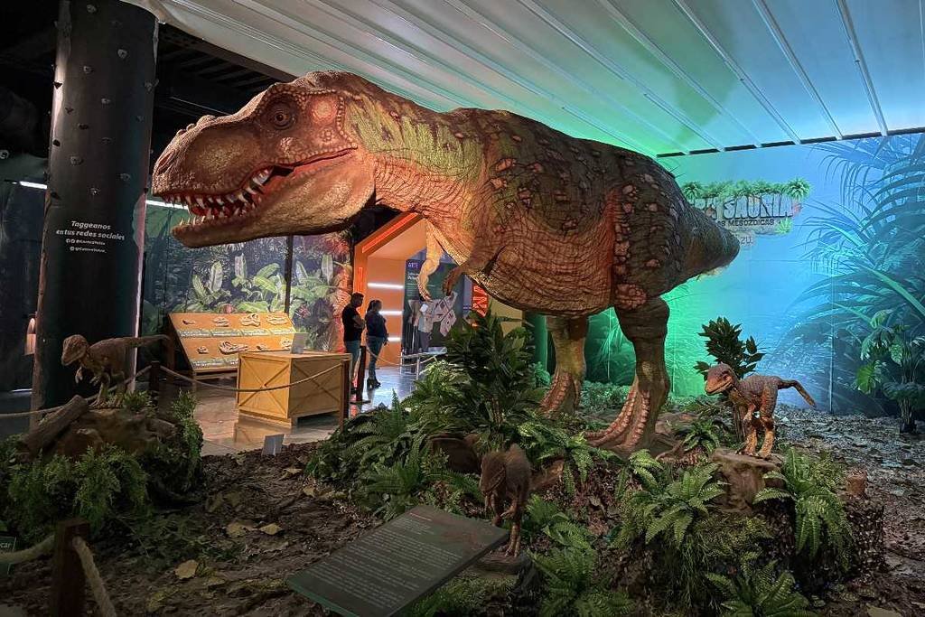 Exposición con más de 40 dinosaurios real