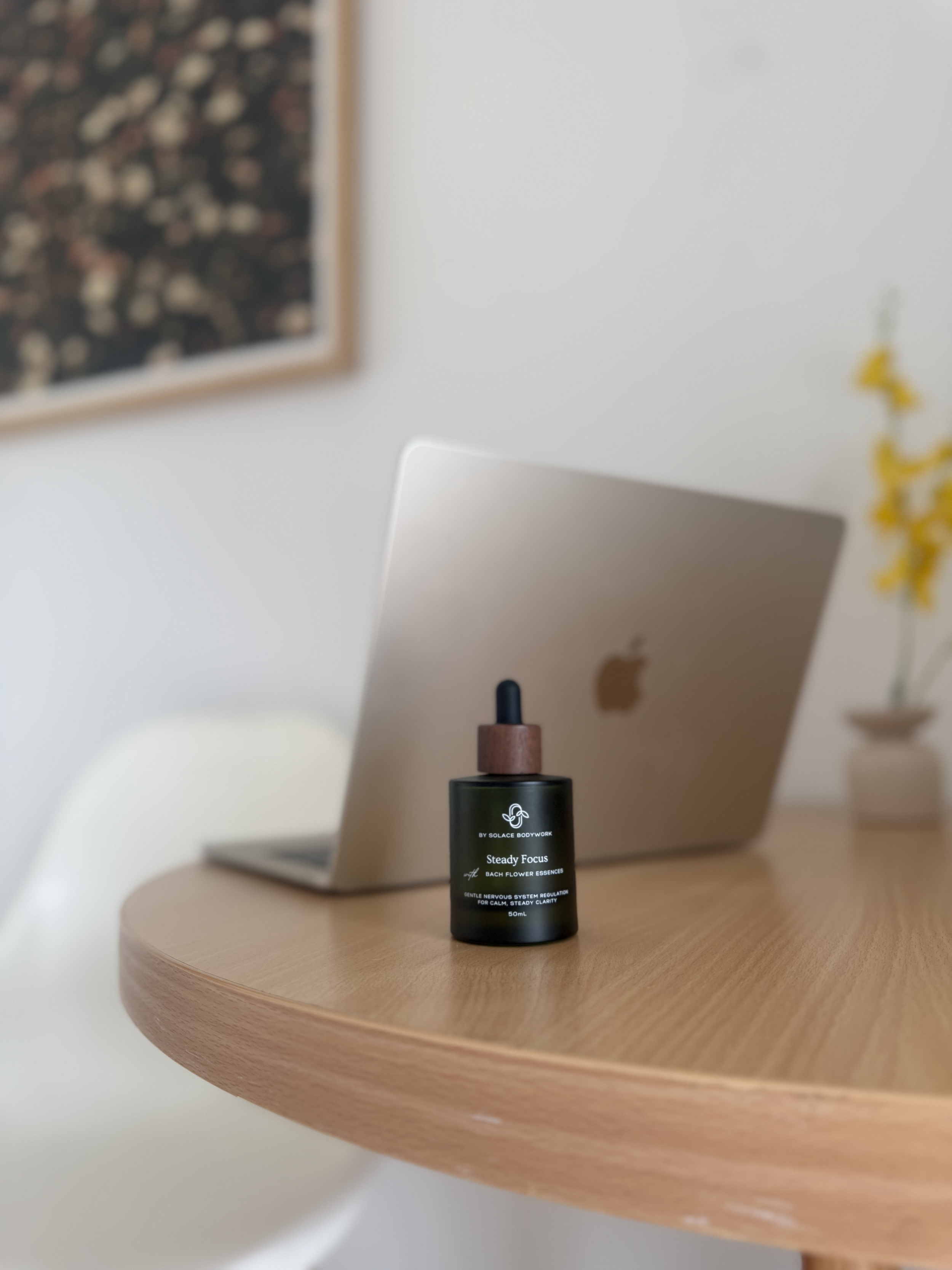 Steady Focus - 50ml Bach Flower Remedy