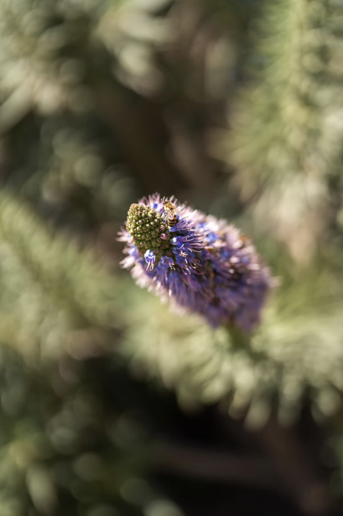 Screenshot 2025-07-22 at 11.22.17 AM.png