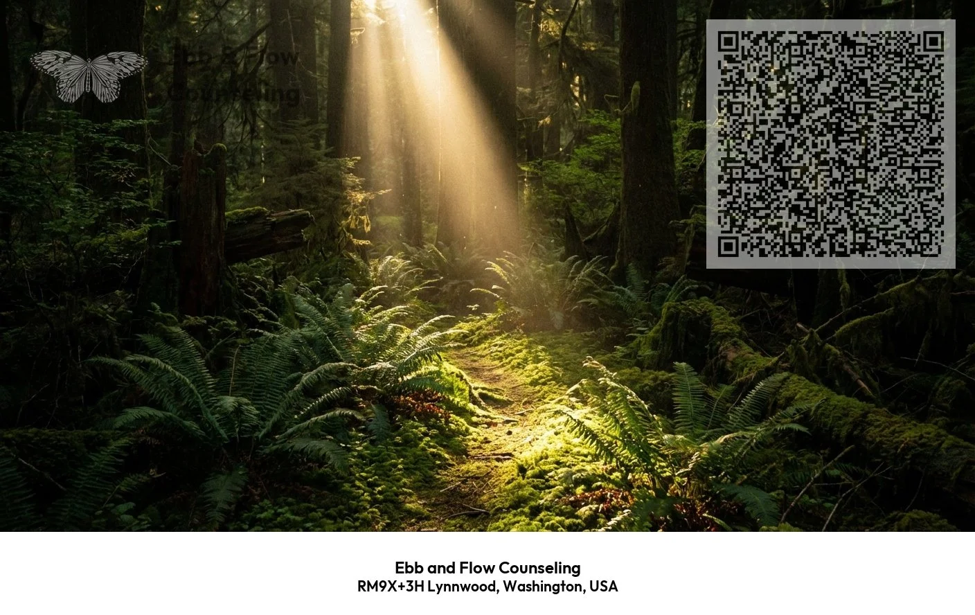 Sunlight streaming through a dense forest with lush green ferns and moss-covered trees.