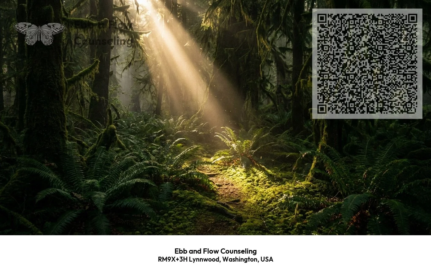 Sunlight filtering through a dense, moss-covered forest with lush ferns and a mossy path.