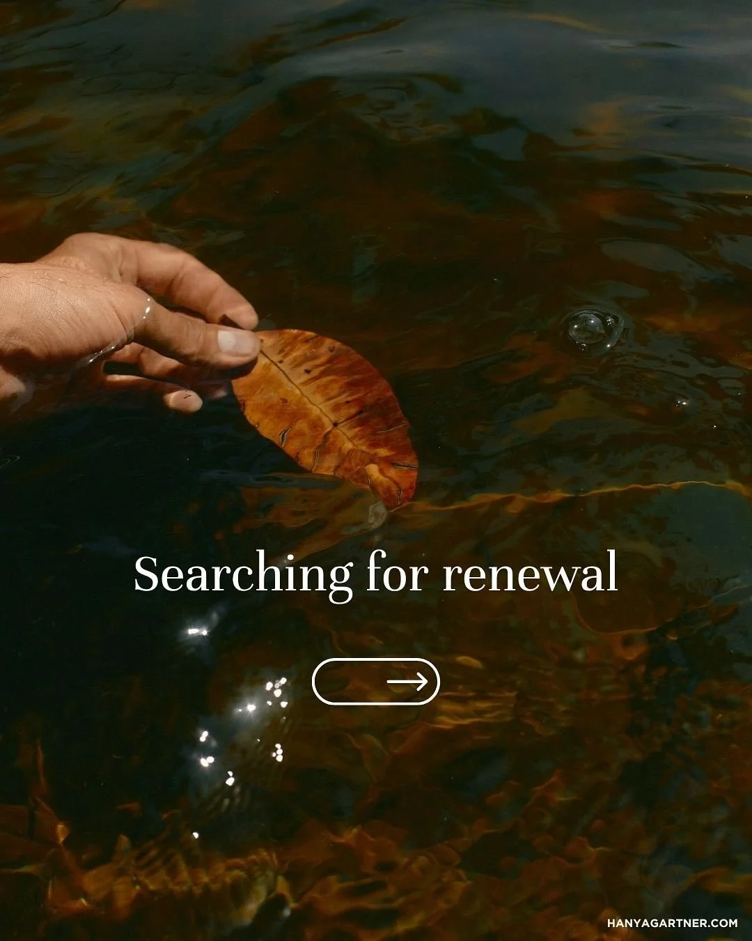 Resilience is more than endurance or the ability to withstand stress. At its core, it is a continual process of renewal and regeneration. Wisdom is sought and cultivated from each challenge faced. Sustainability and resilience both live in the rhythm