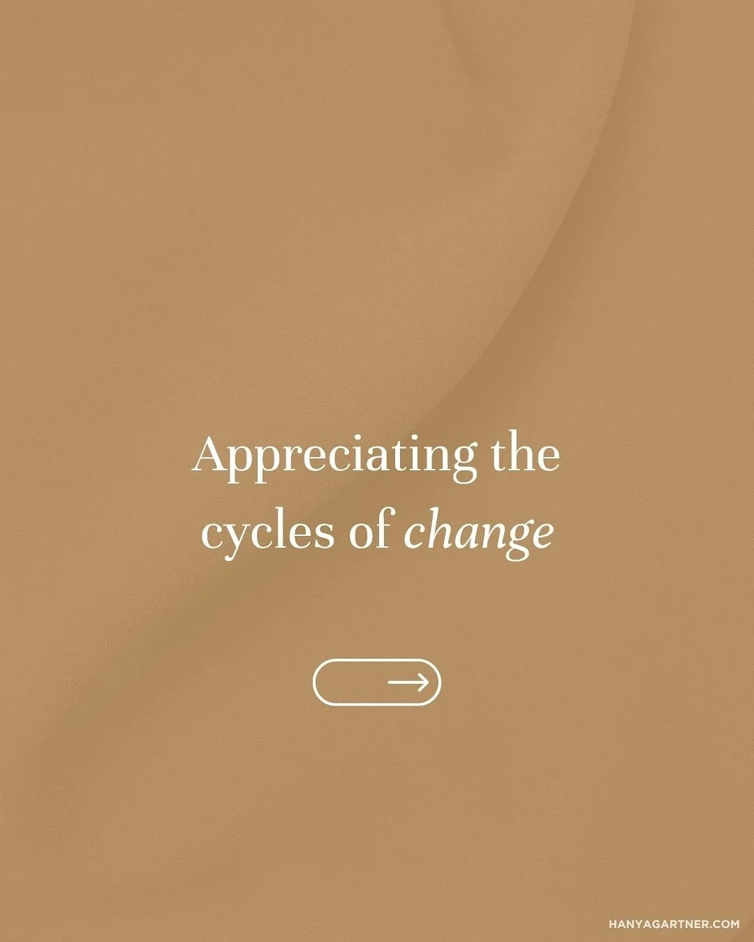 The seasons remind us that every phase has a purpose. Growth, rest, release, and renewal all contribute to the continual refinement of life&rsquo;s systems, ensuring endurance over time. While a sustainability mindset can sometimes lead to linear sol