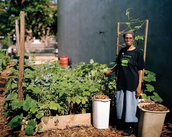 Pop Up Lunches in the South Bronx