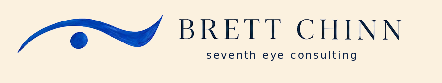 Brett Chinn | Seventh Eye Consulting