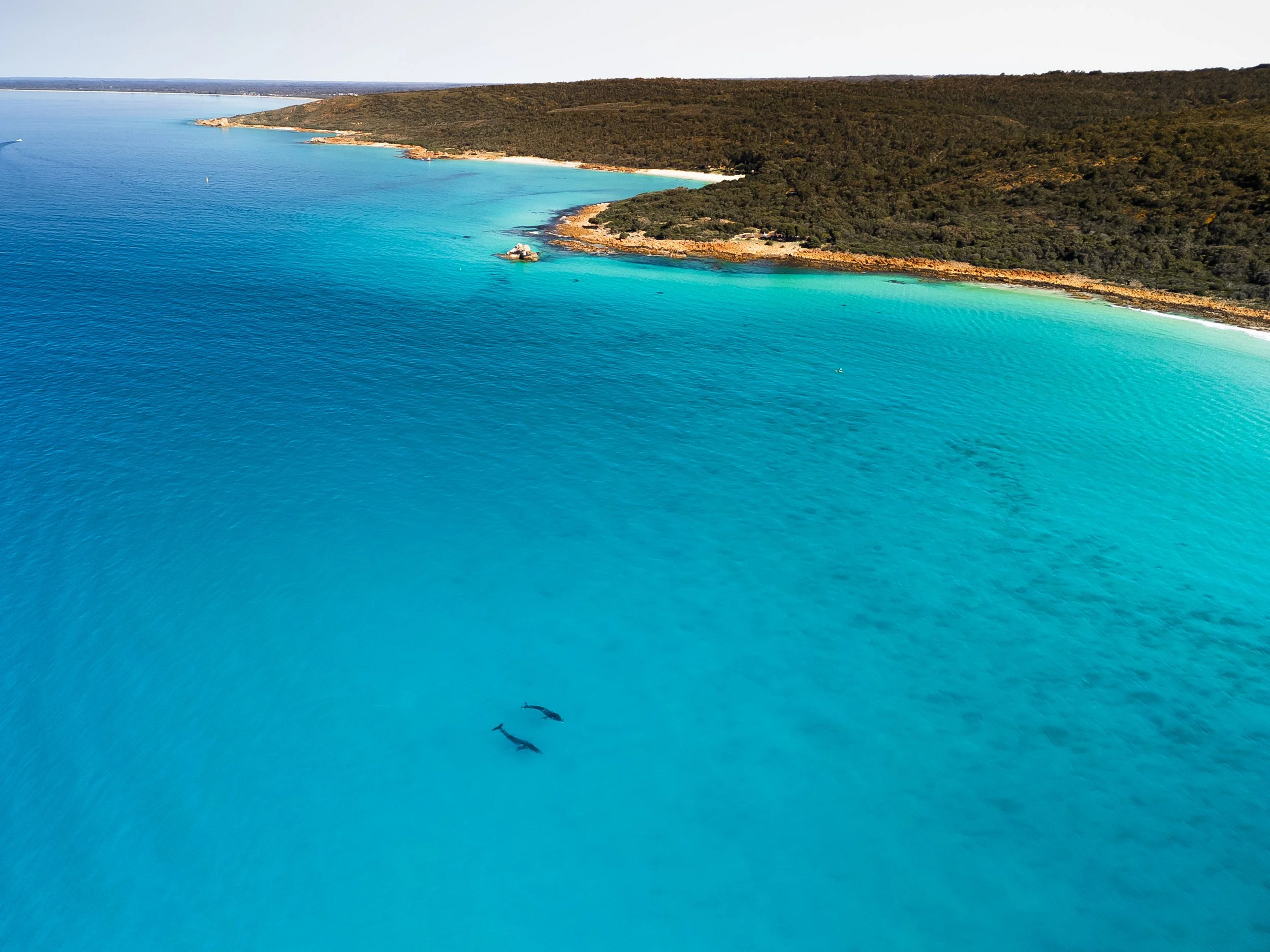 Coastal Passage Individual.jpg