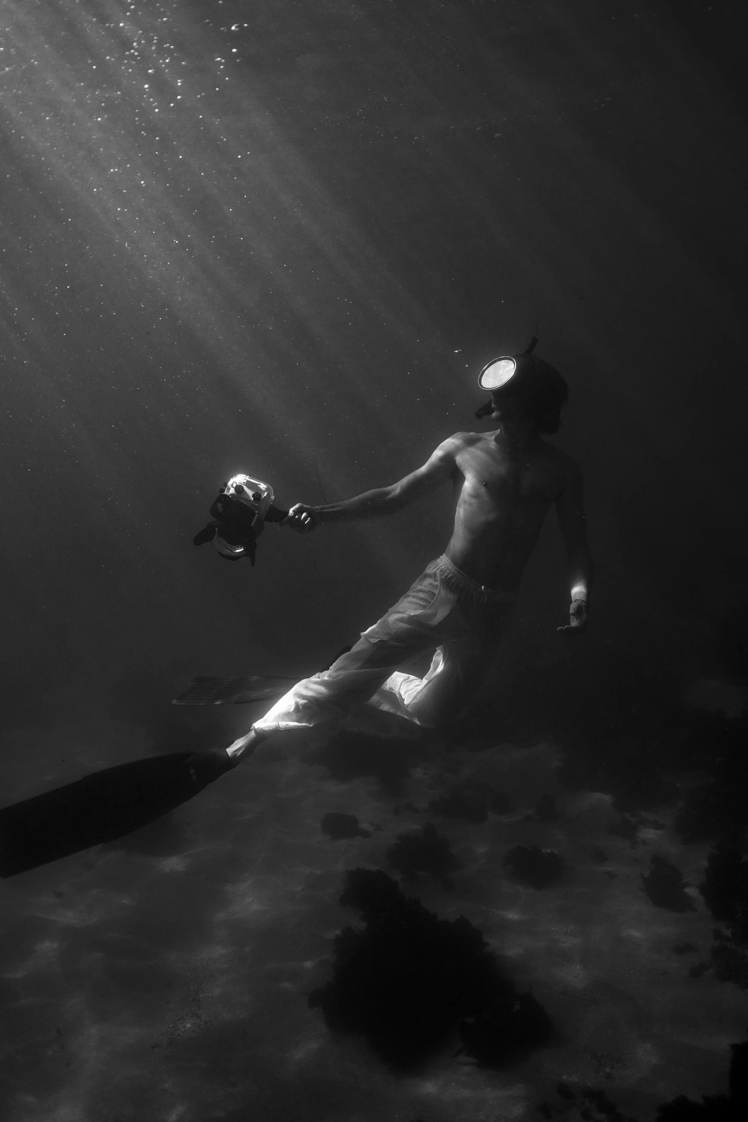 Submerged Surrender Individual.jpg