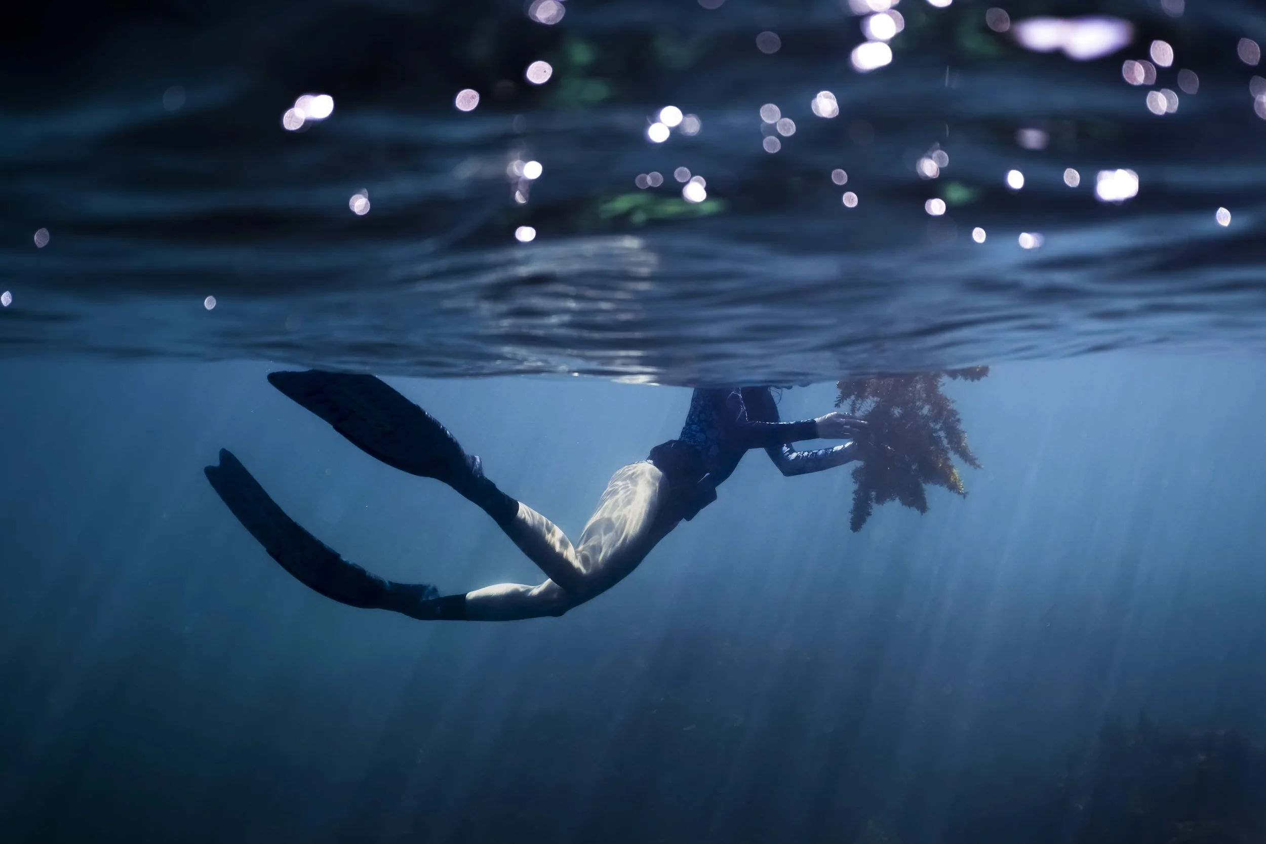 Surface Glitter Individual.jpg