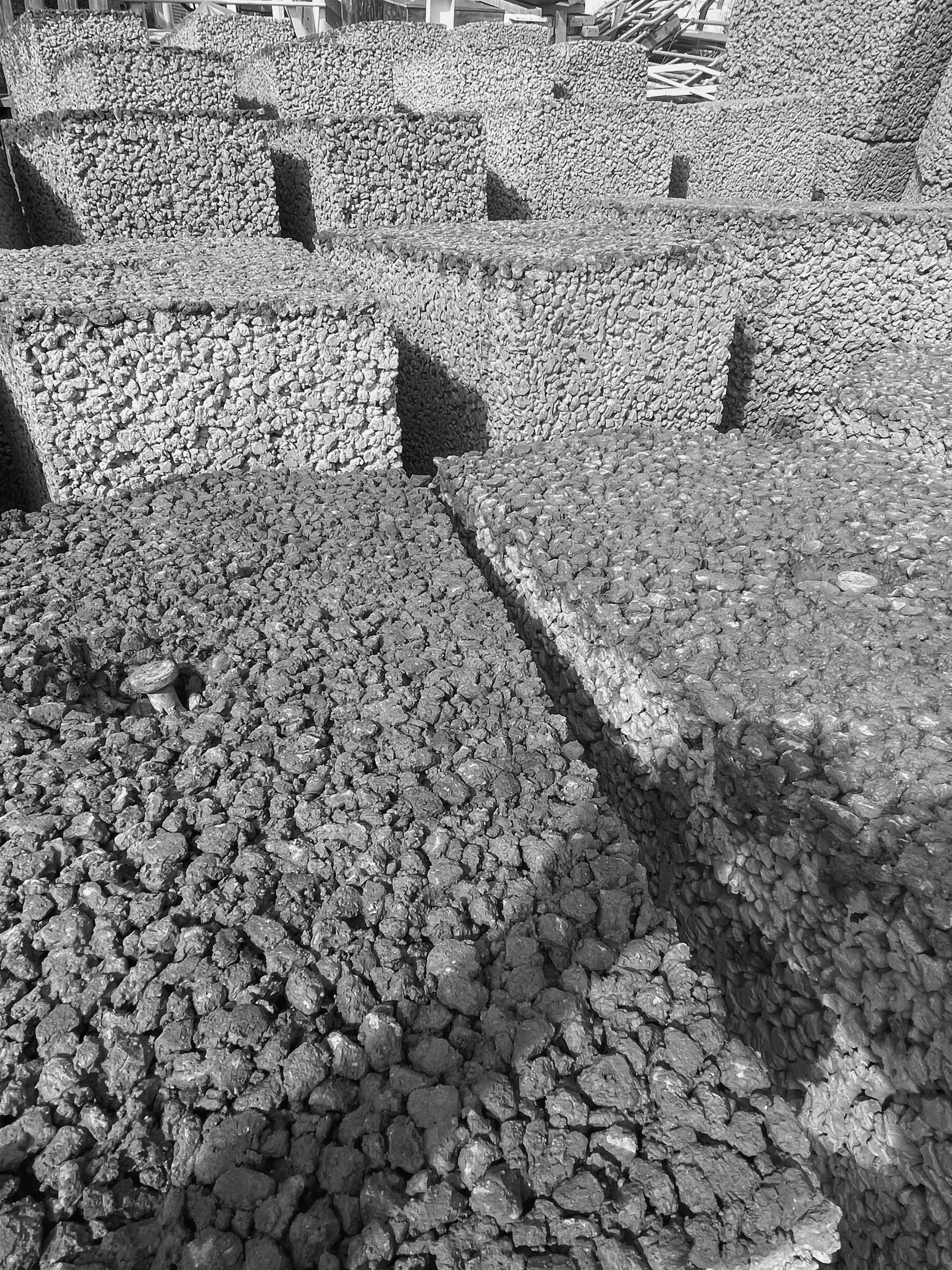 Photo 16-12-21, 4 35 10 pm - Copy copy.jpg