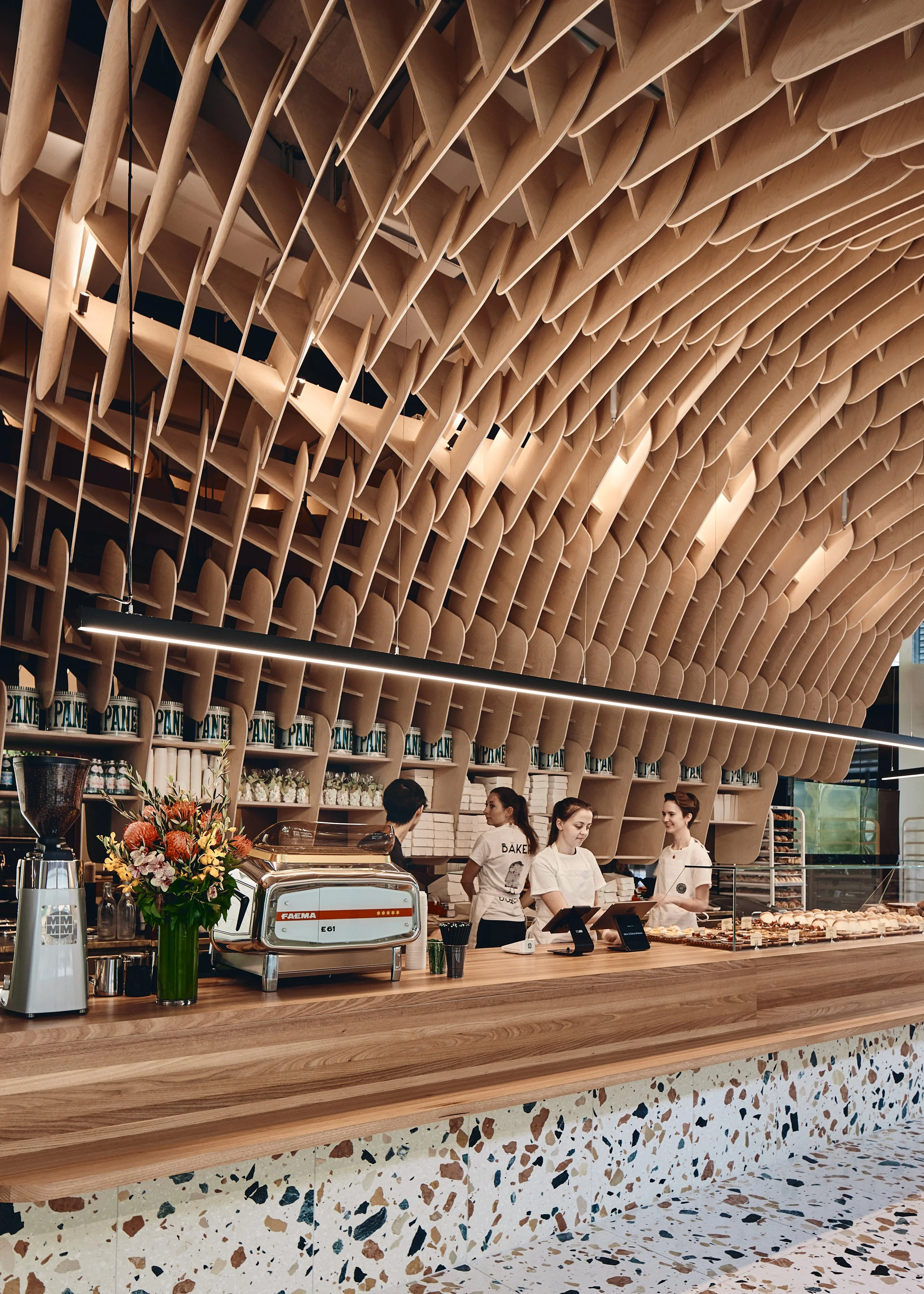 241109 Cavcorp 4040.jpg