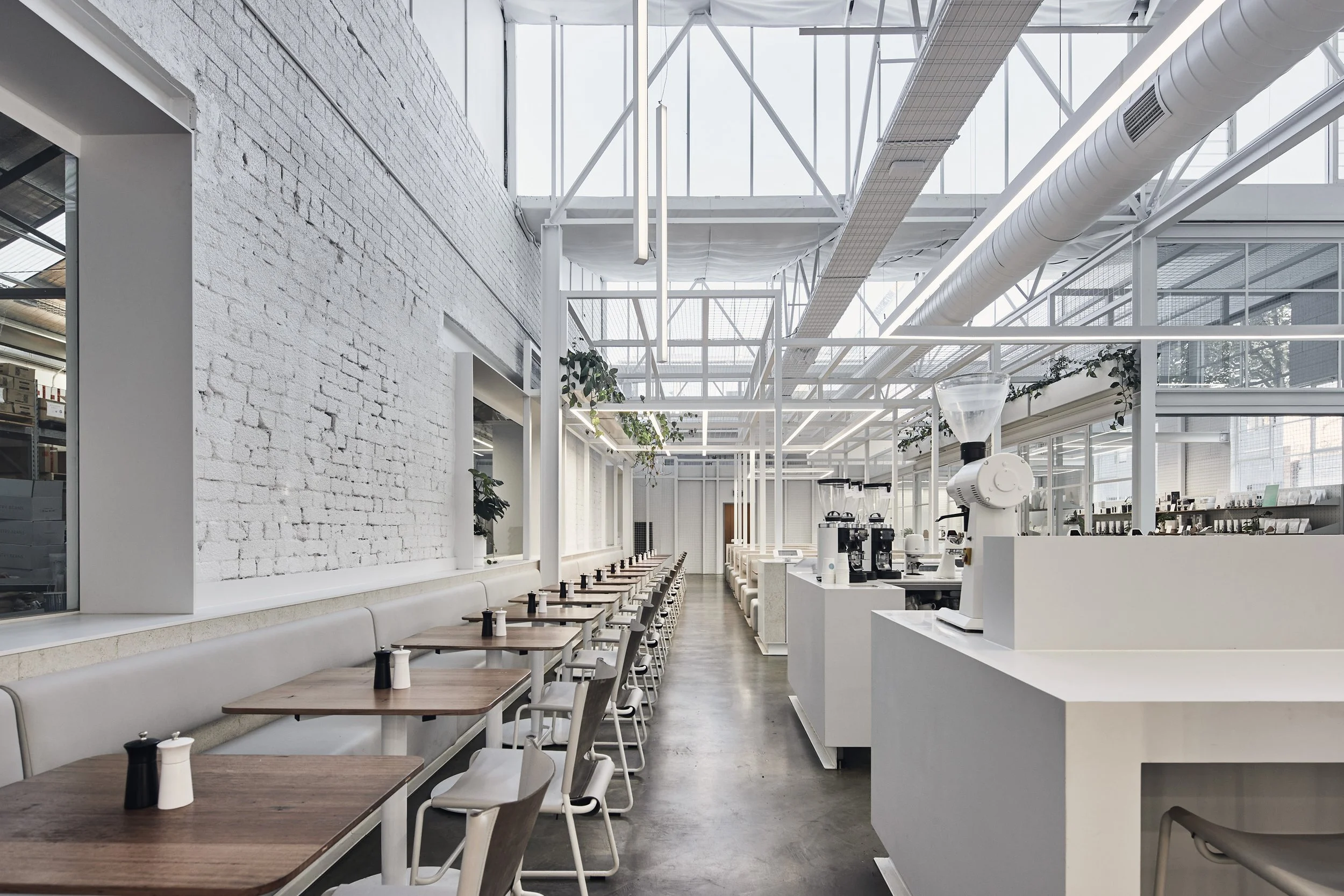 220422 IB Fitzroy 0706.jpg