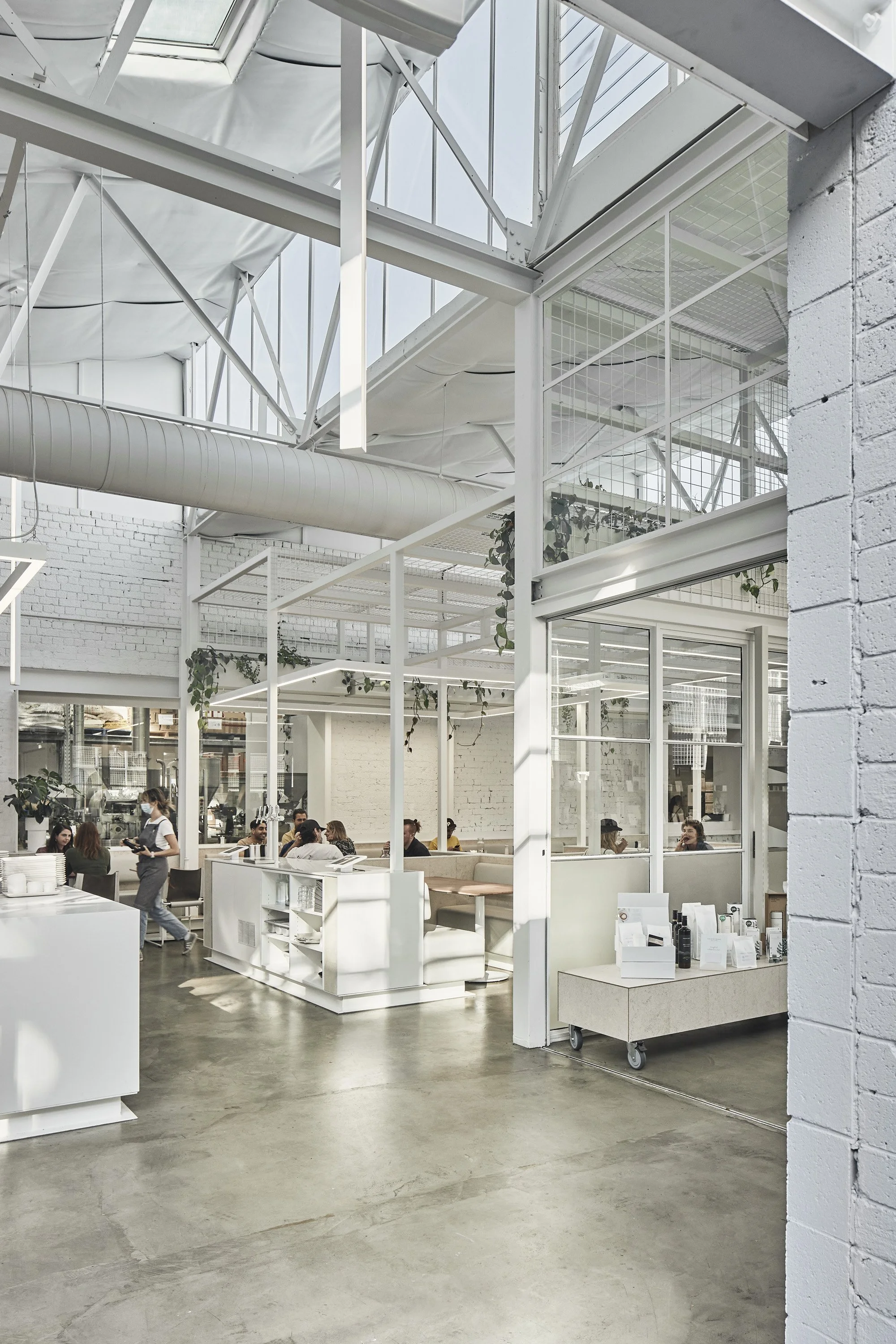 220422 IB Fitzroy 0316.jpg