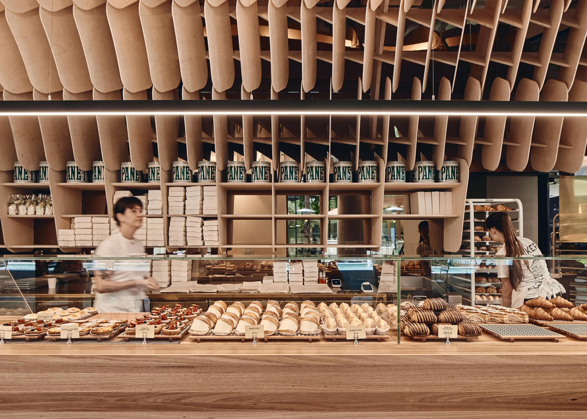 241109 Cavcorp 3845.jpg