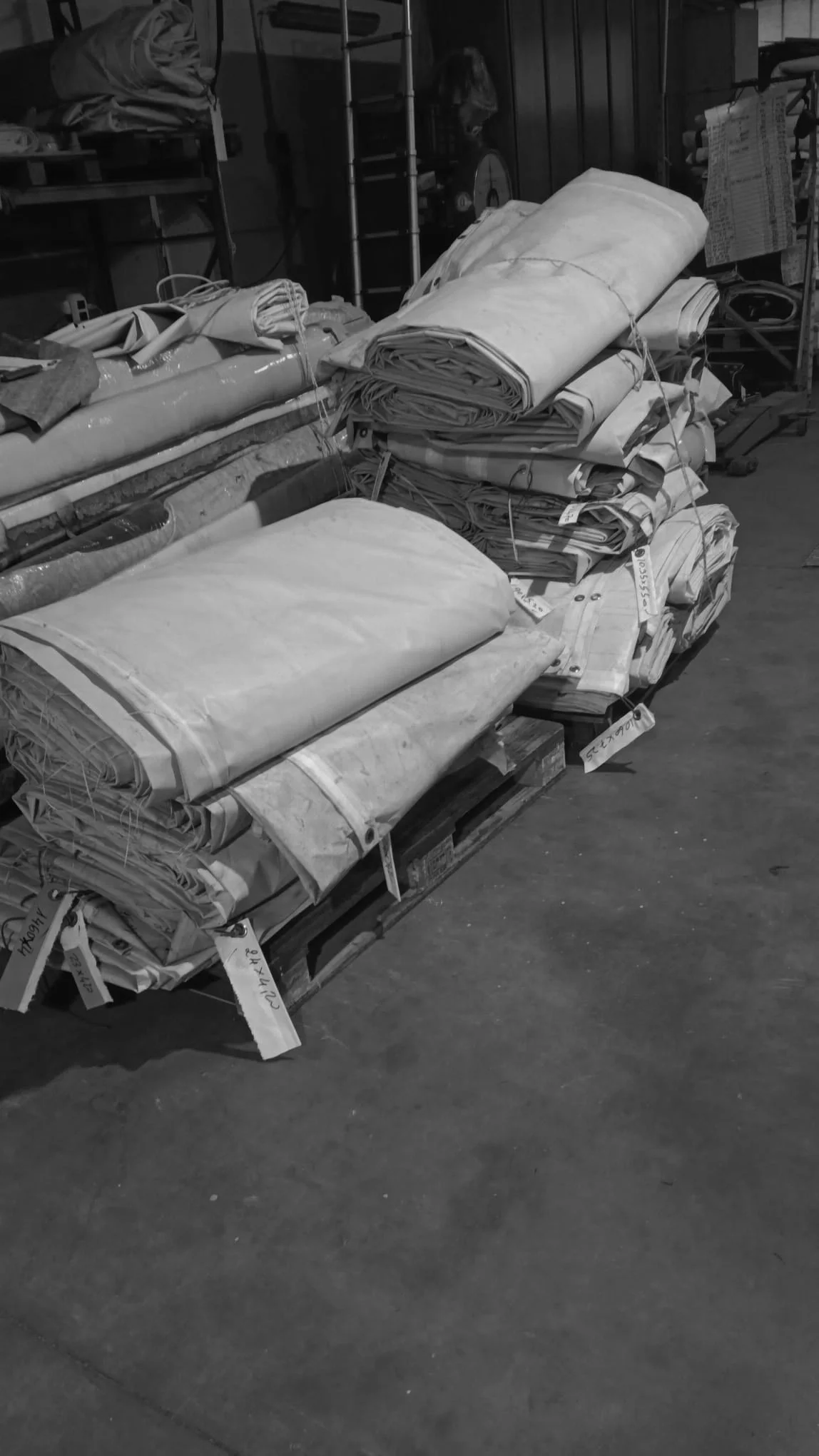 PHOTO-2026-01-16-14-42-35 3 copy.jpg