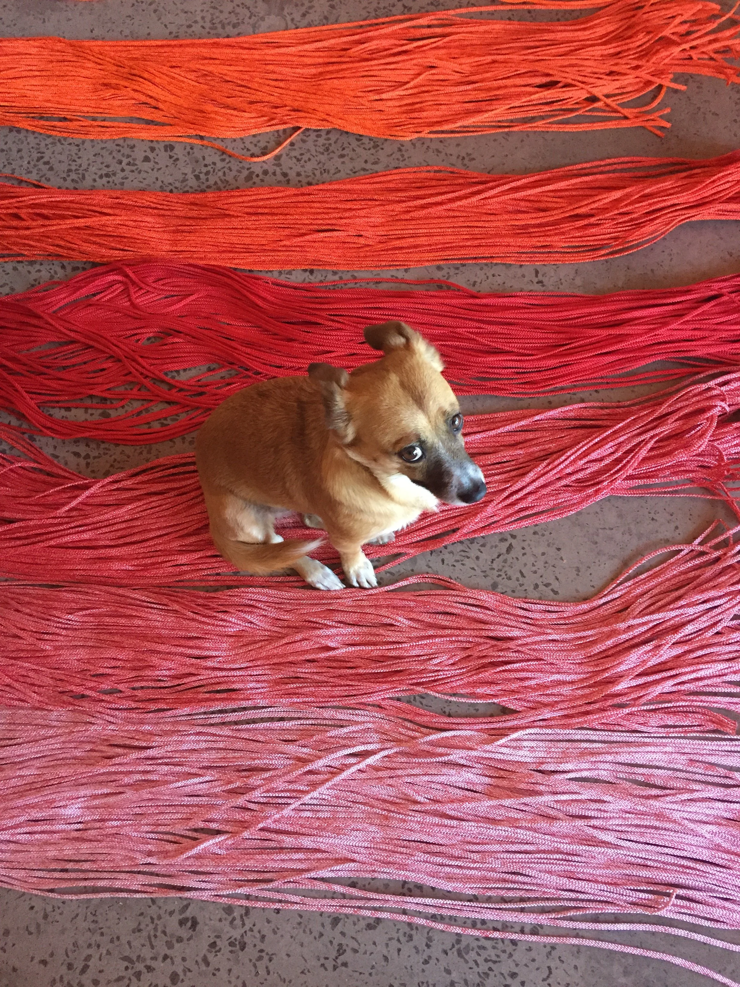 Studio Process_ (6).jpg