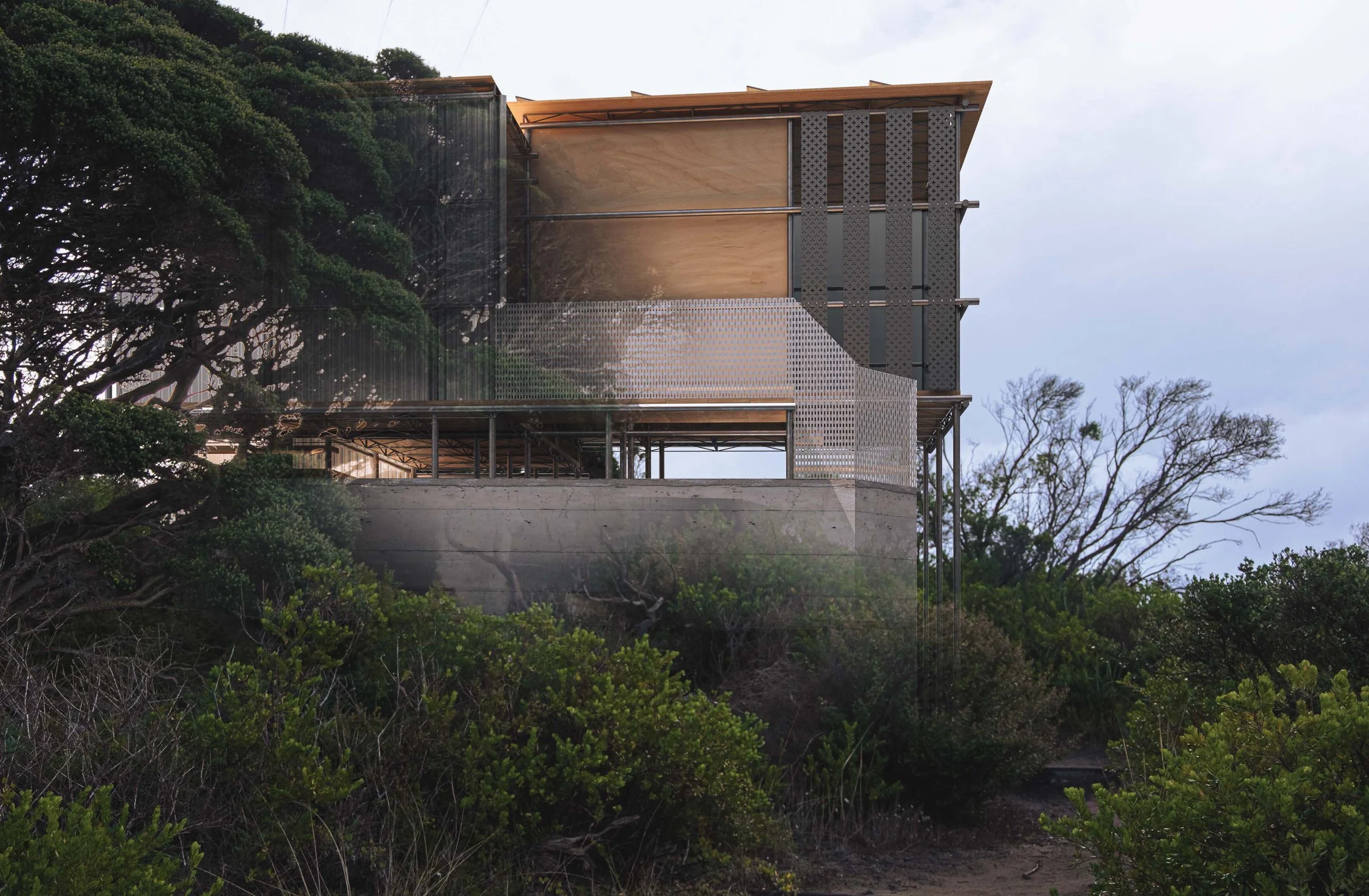 Shen Haoliang_ (3) copy.jpg