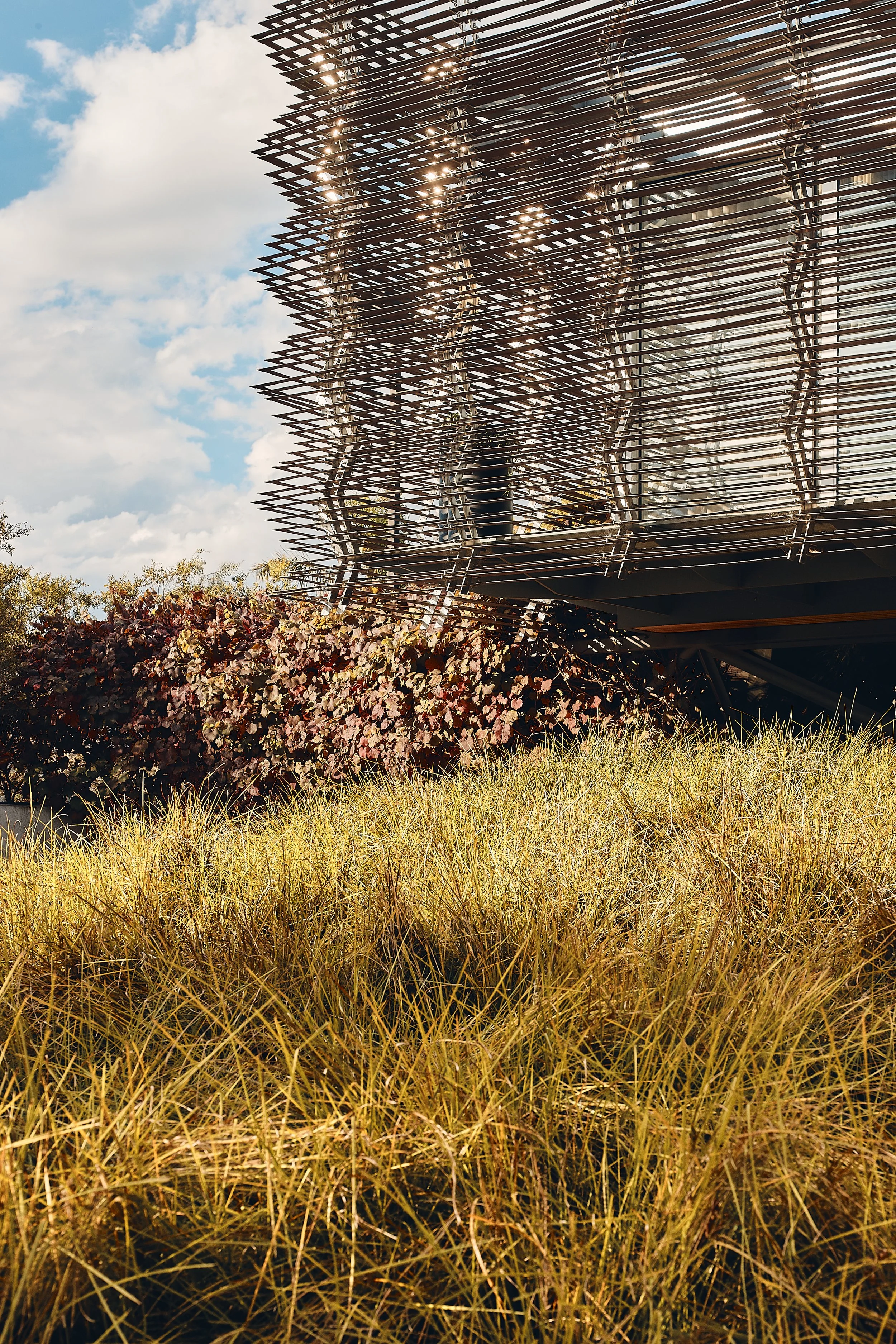 230401 Compound House 3392.jpg